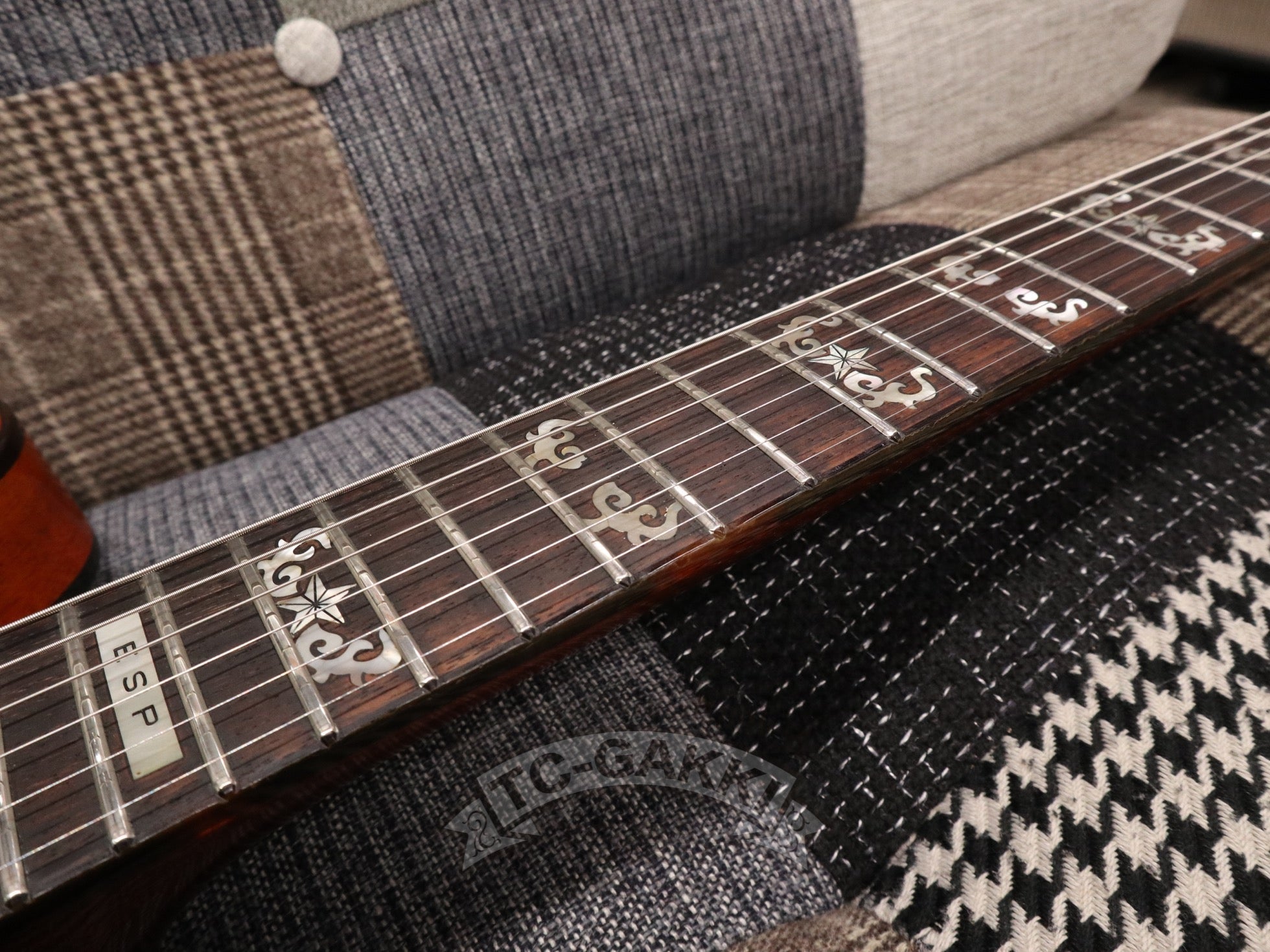 1980s Torrocco - TC楽器 - TCGAKKI