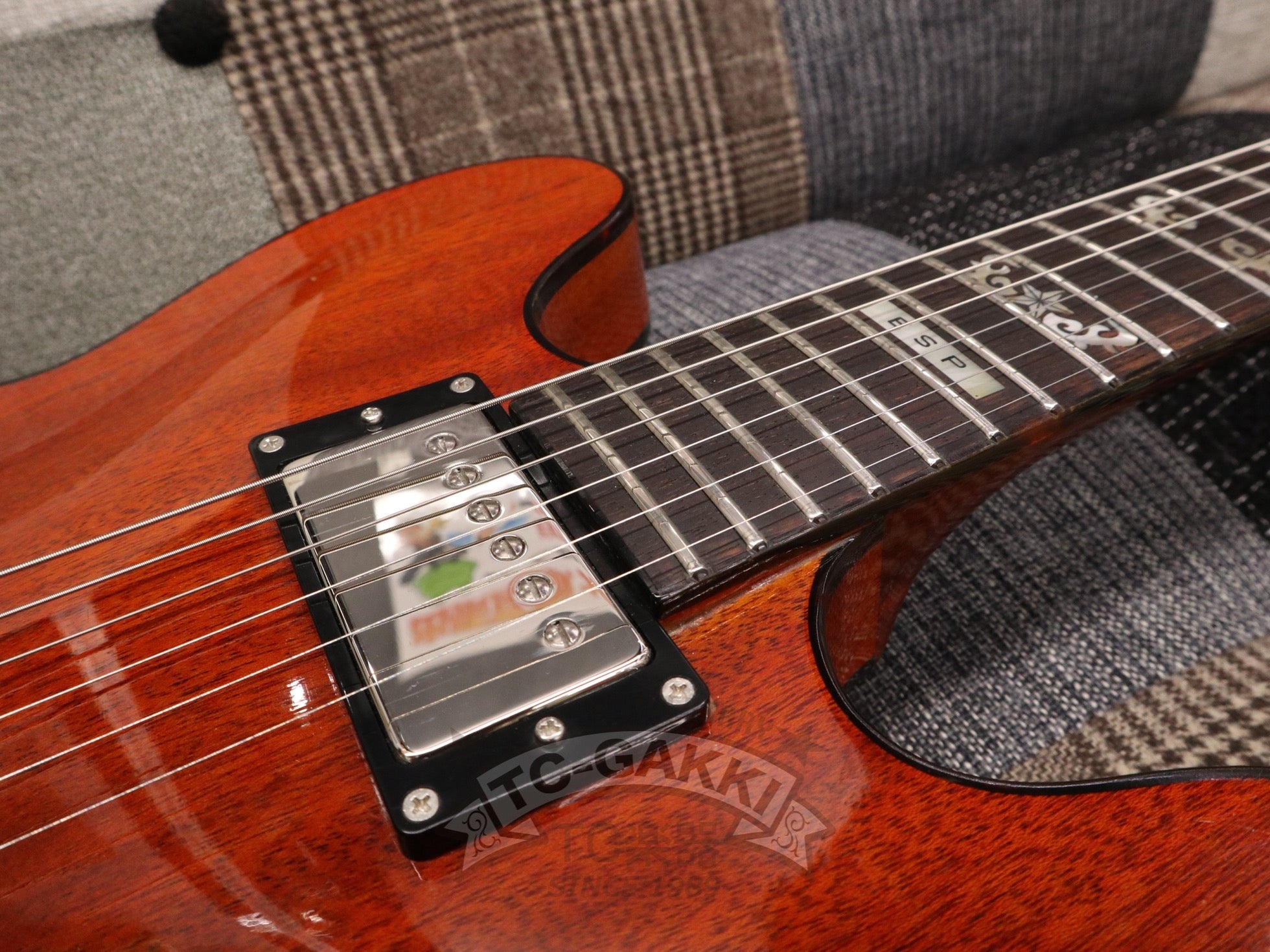 1980s Torrocco - TC楽器 - TCGAKKI