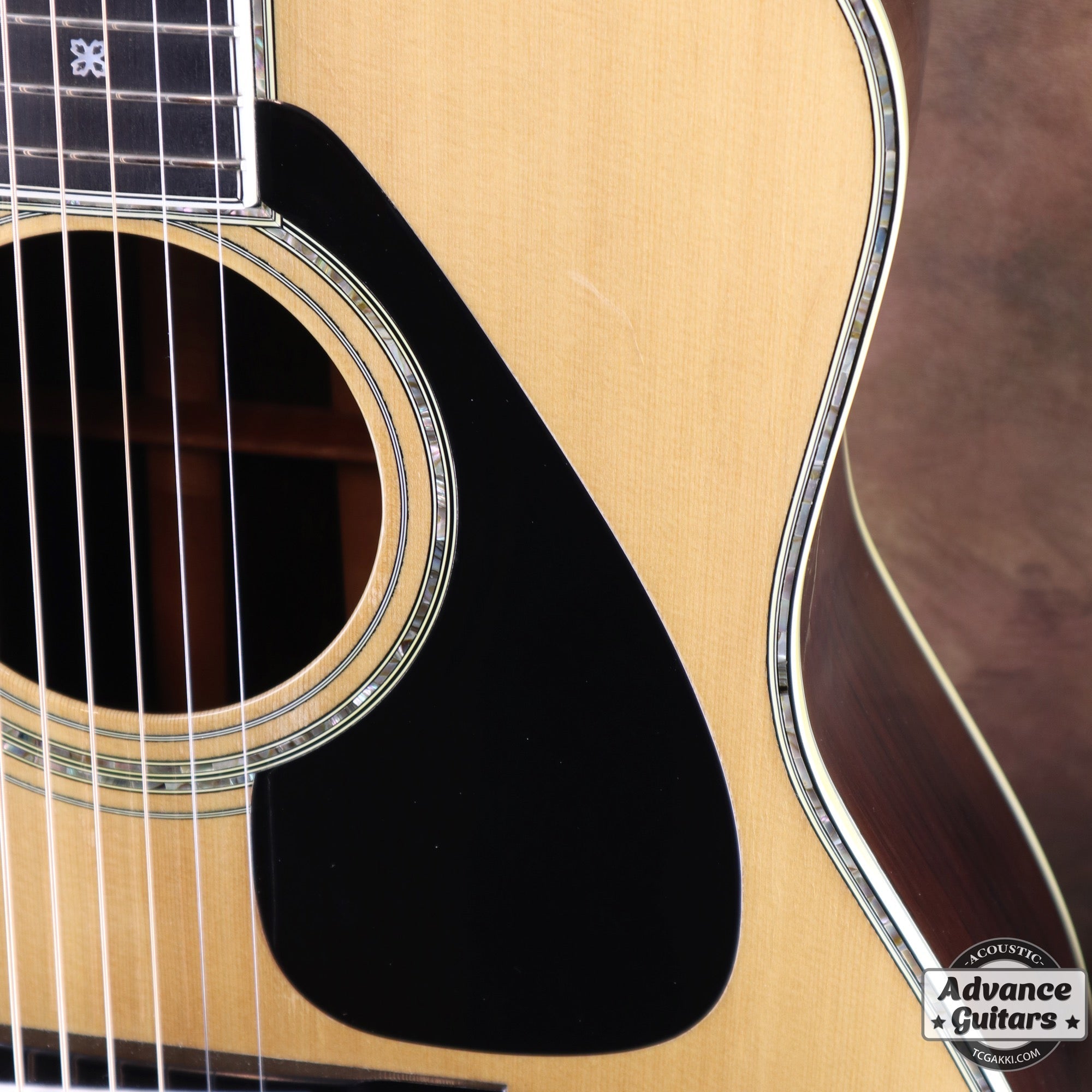 1981年製 L - 55 Custom - TC楽器 - TCGAKKI