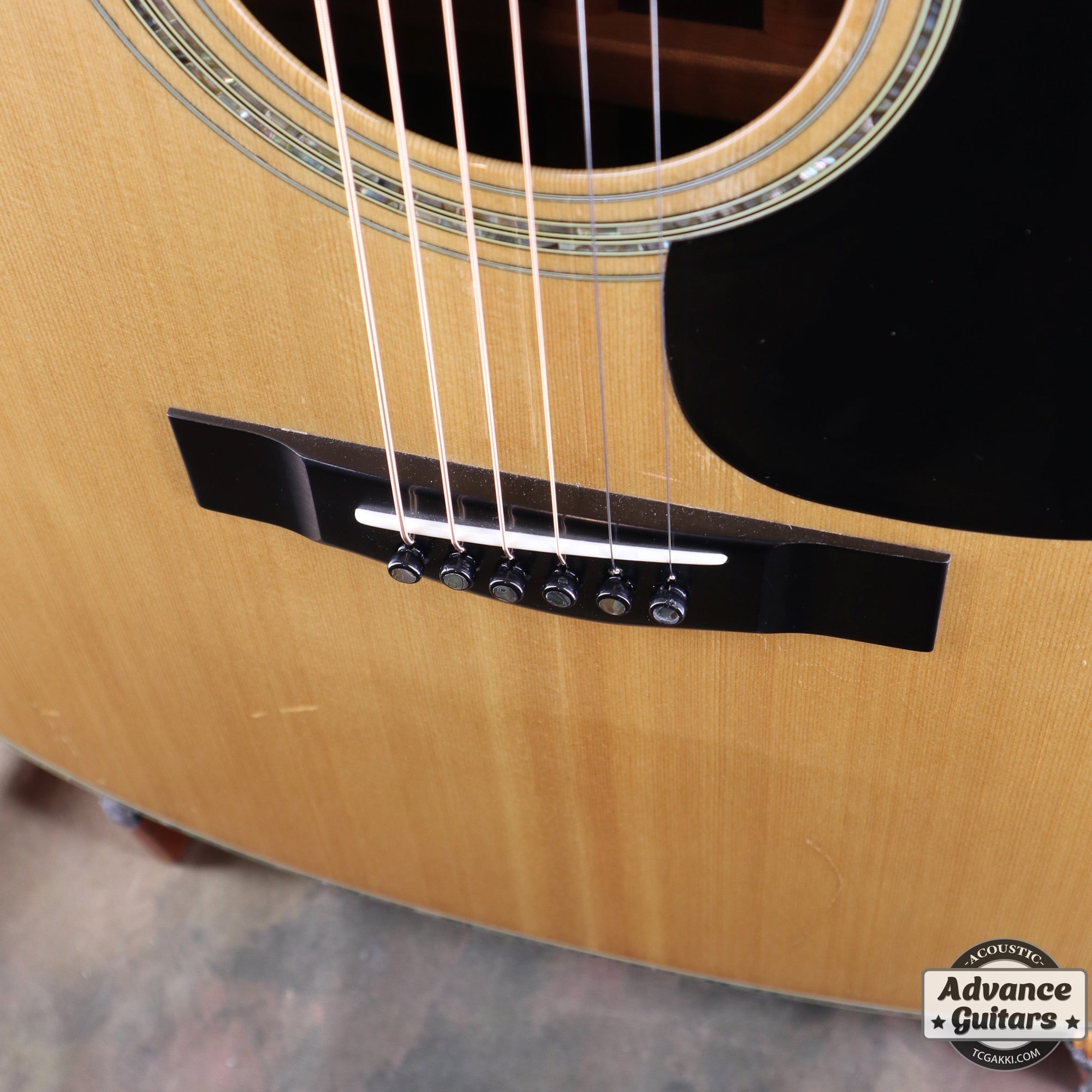 1981年製 L - 55 Custom - TC楽器 - TCGAKKI