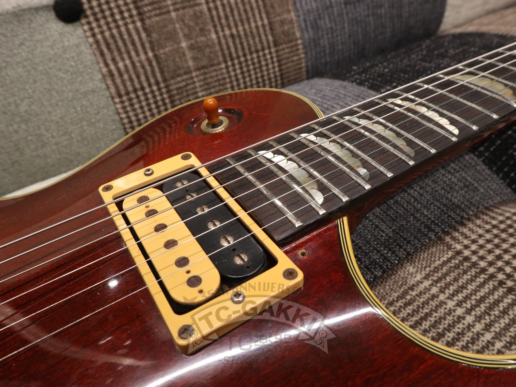 1981 PE - R80 - TC楽器 - TCGAKKI