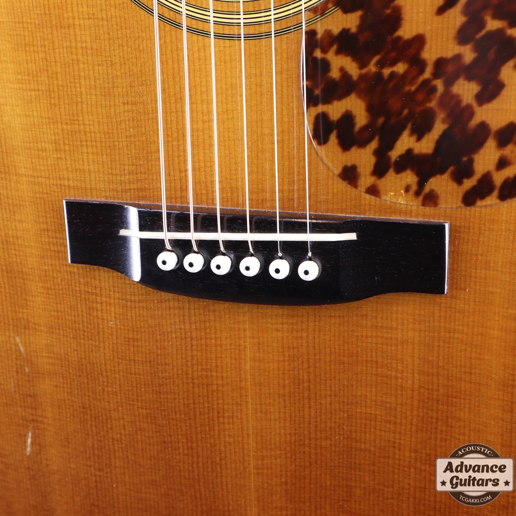 1982年製 Dreadnought Kurosawa CTM - TC楽器 - TCGAKKI