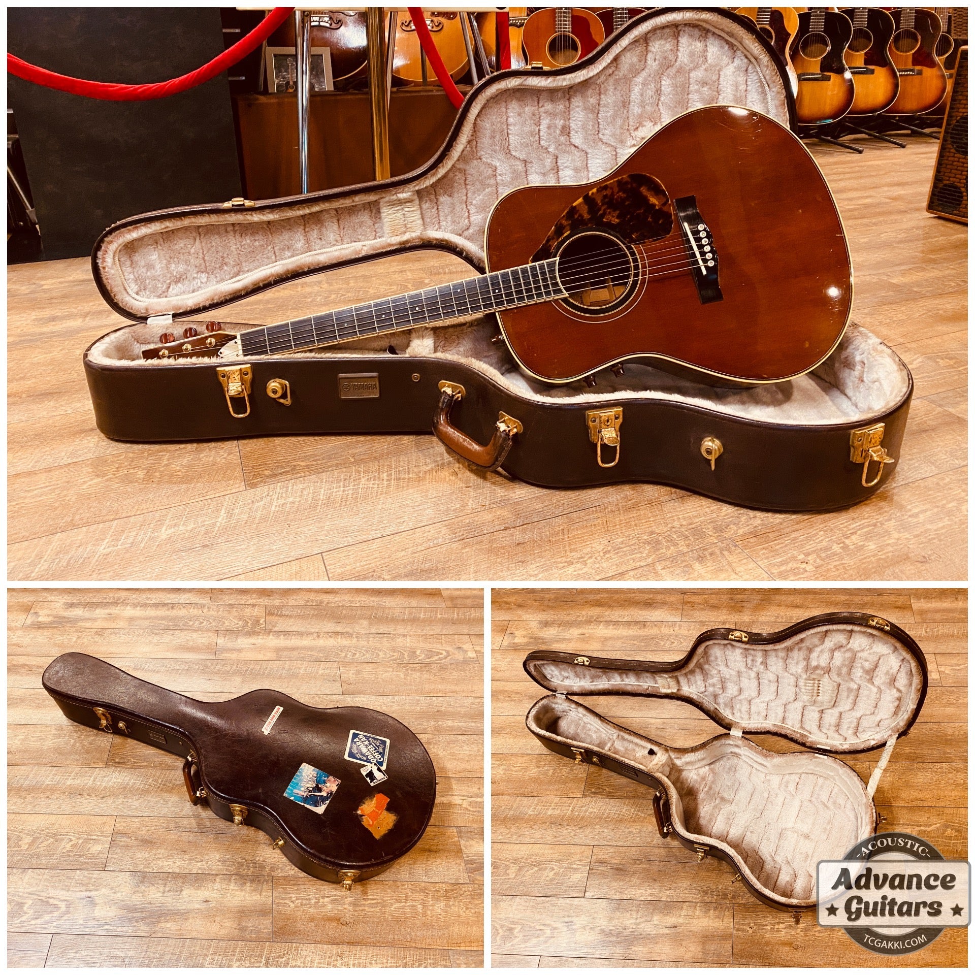 1982年製 L - 31A 後期型 - TC楽器 - TCGAKKI