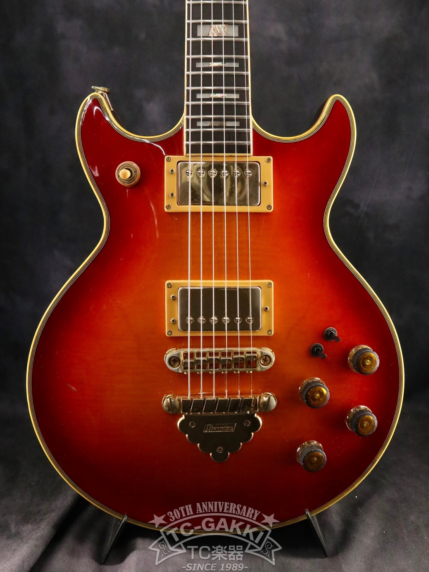 1983 AR300CS Artist - TC楽器 - TCGAKKI