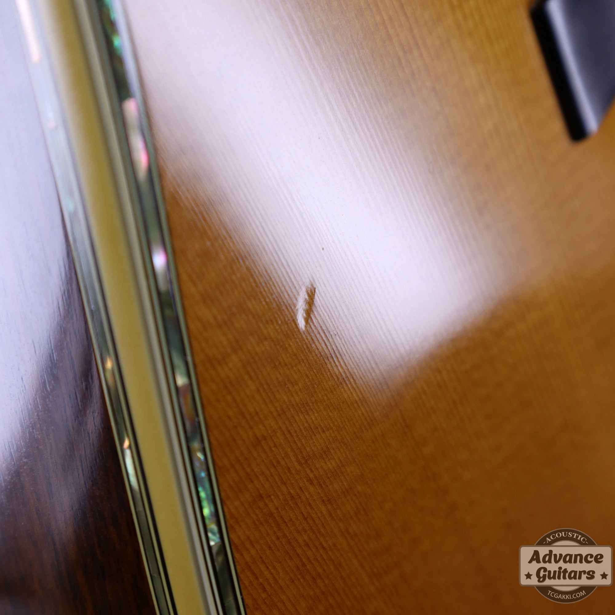 1984年製 D - 45 Tree of Life - TC楽器 - TCGAKKI