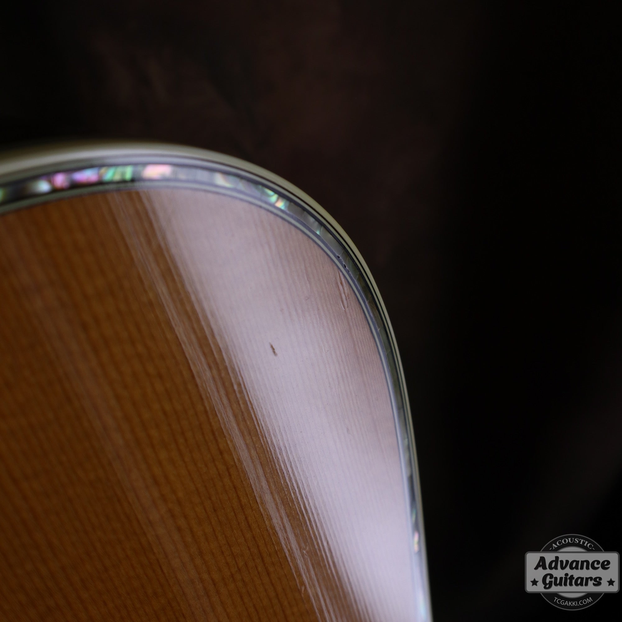 1984年製 D - 45 Tree of Life - TC楽器 - TCGAKKI