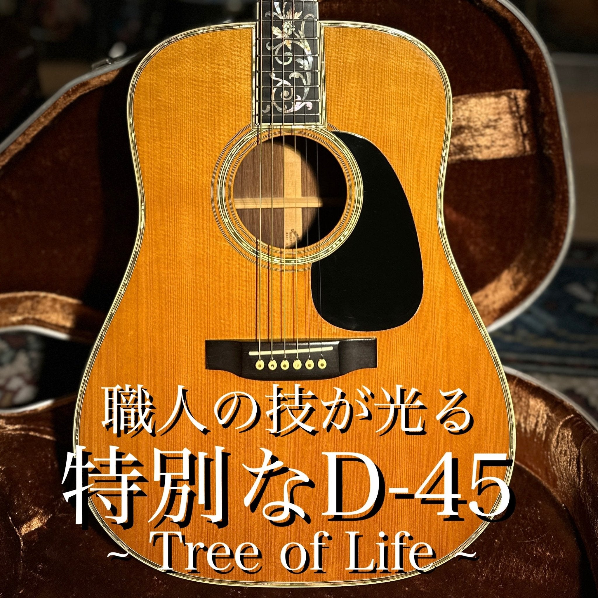 1984年製 D - 45 Tree of Life - TC楽器 - TCGAKKI