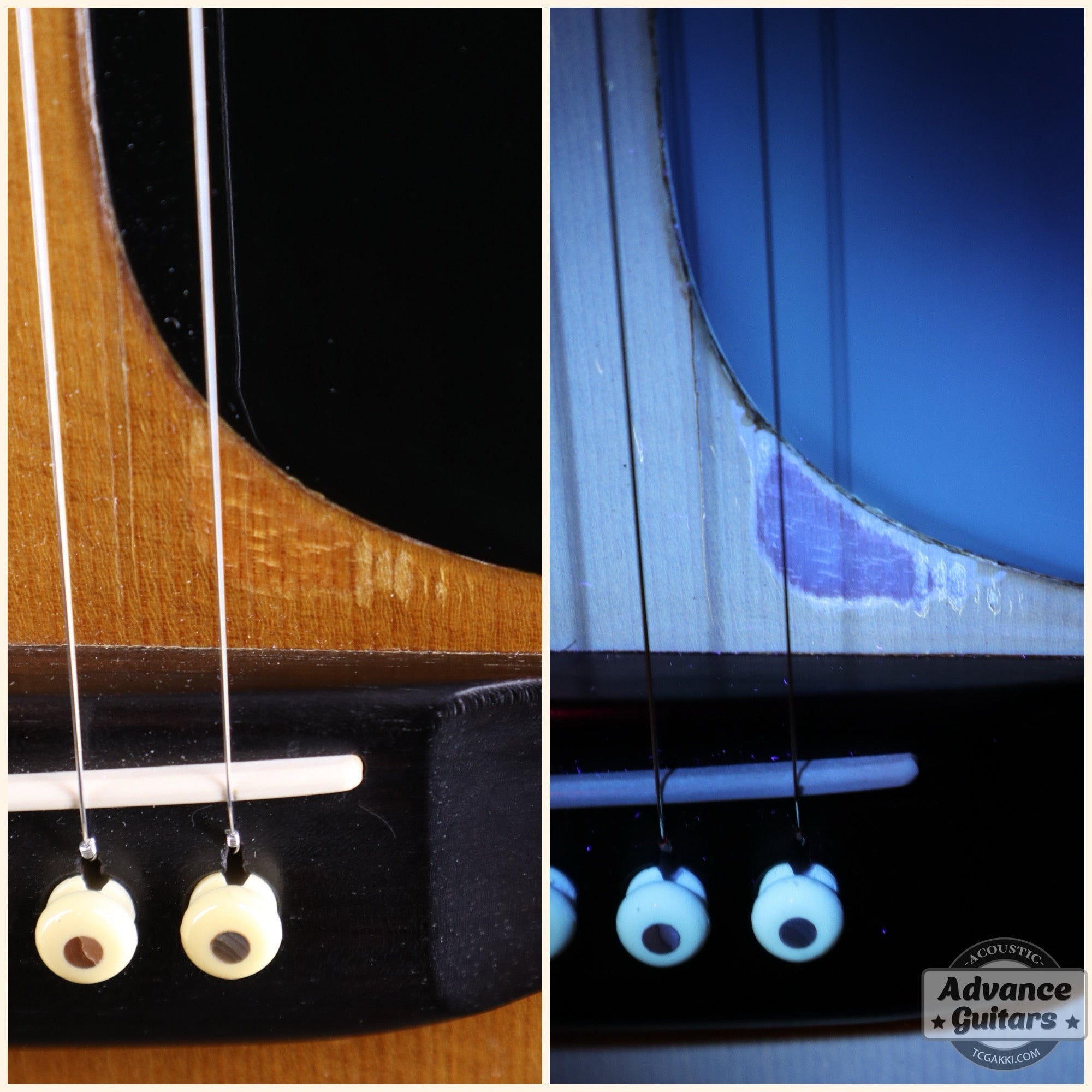 1984年製 D - 45 Tree of Life - TC楽器 - TCGAKKI