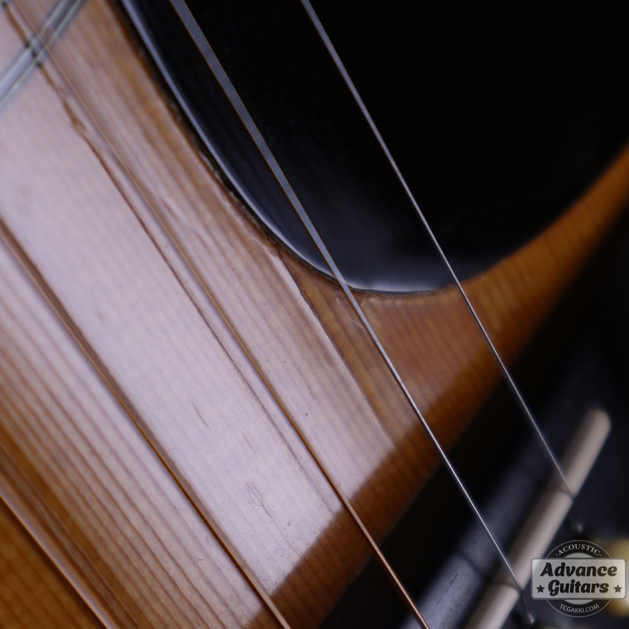 1984年製 D - 45 Tree of Life - TC楽器 - TCGAKKI