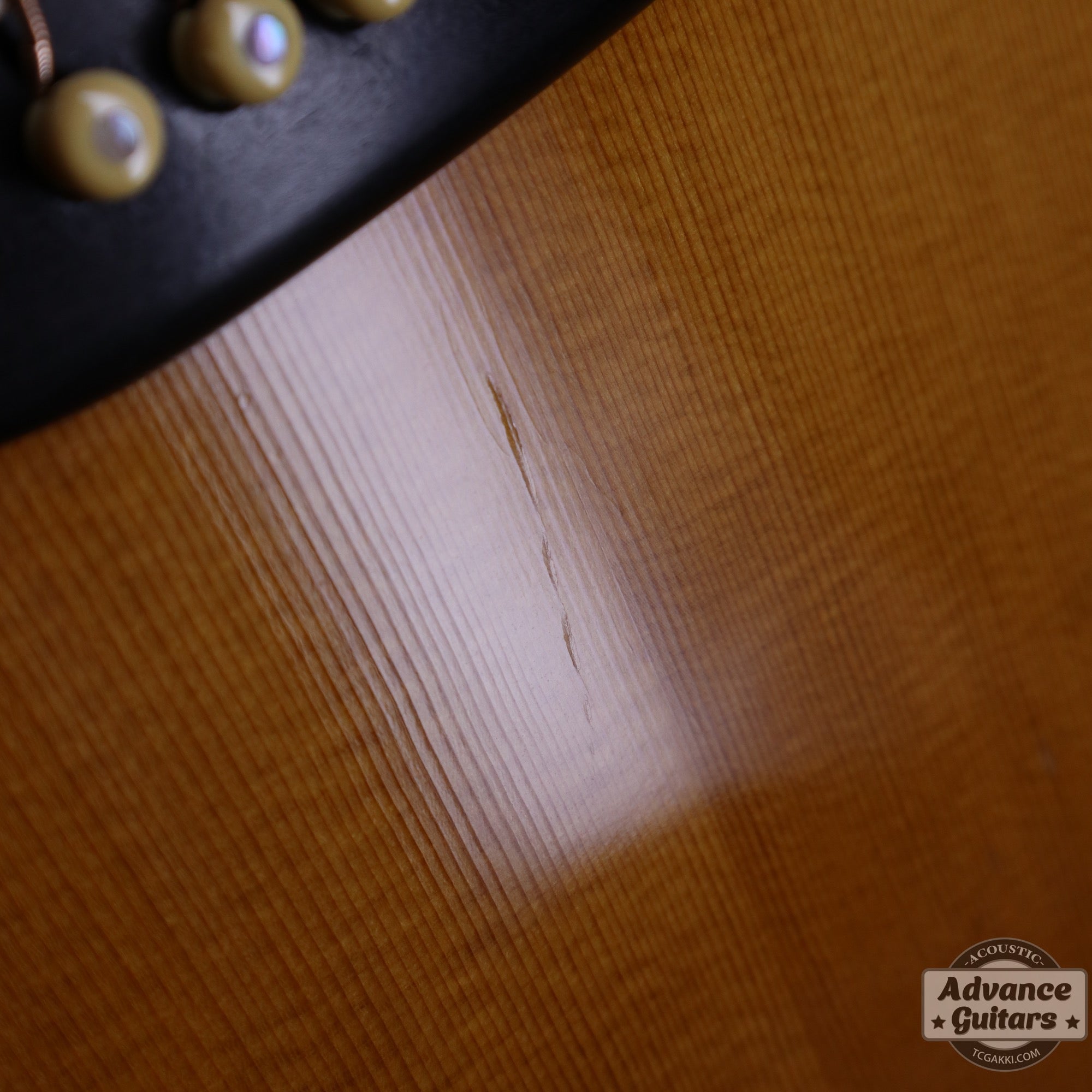 1984年製 D - 45 Tree of Life - TC楽器 - TCGAKKI