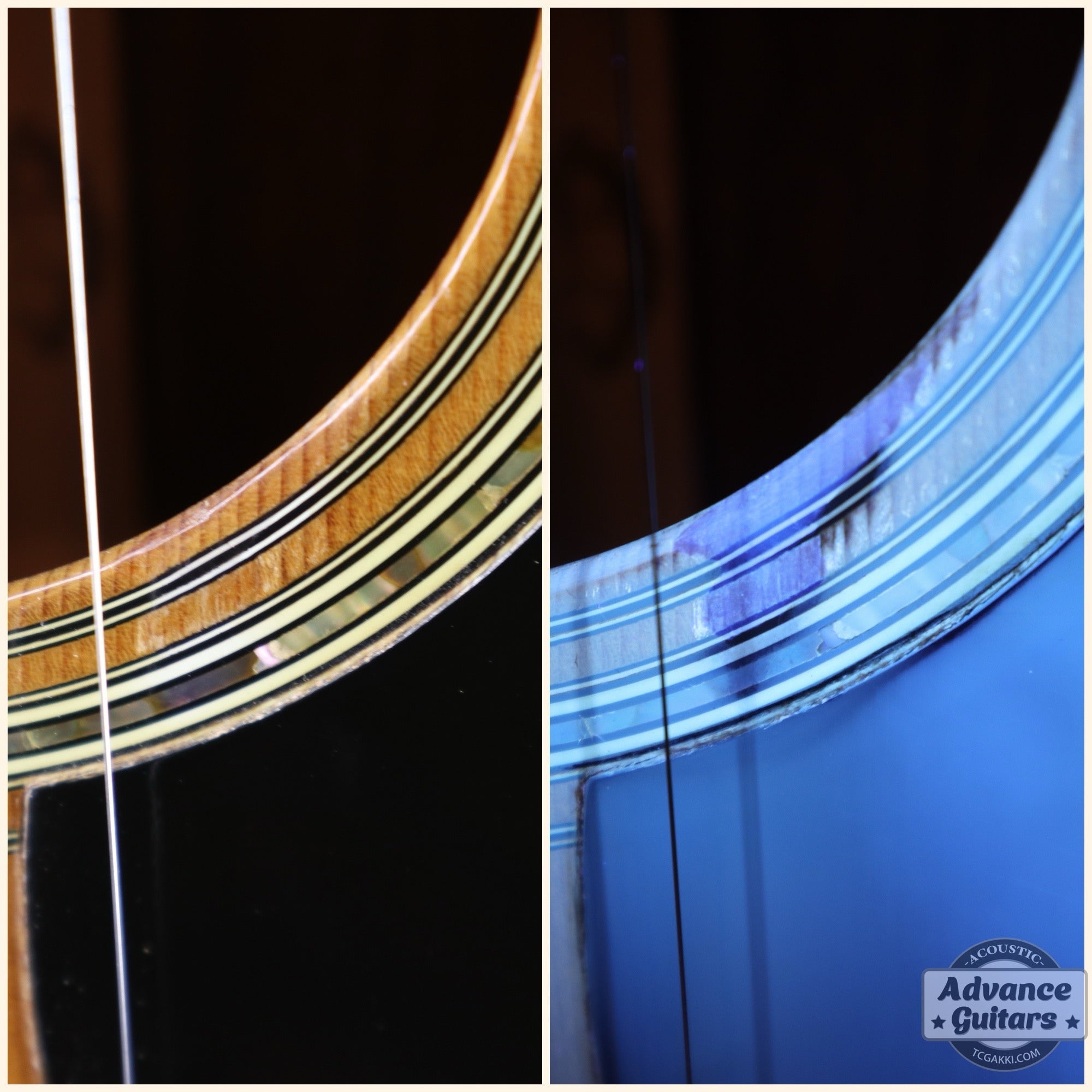 1984年製 D - 45 Tree of Life - TC楽器 - TCGAKKI