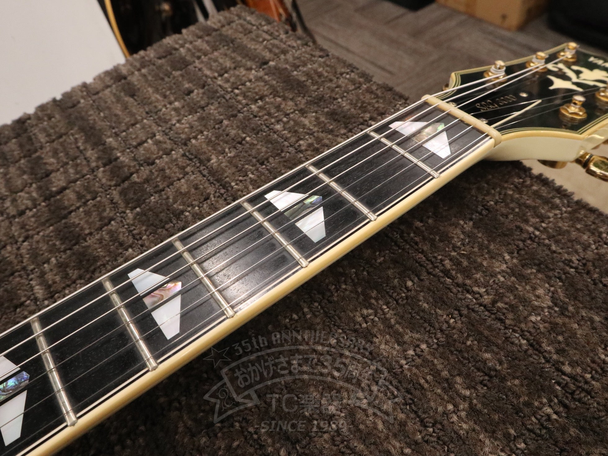 1984 SBG3000 Creamy White - TC楽器 - TCGAKKI