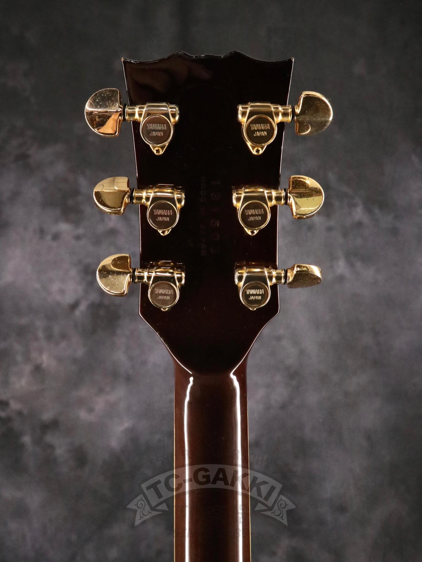 1984 SG1000NW - TC楽器 - TCGAKKI