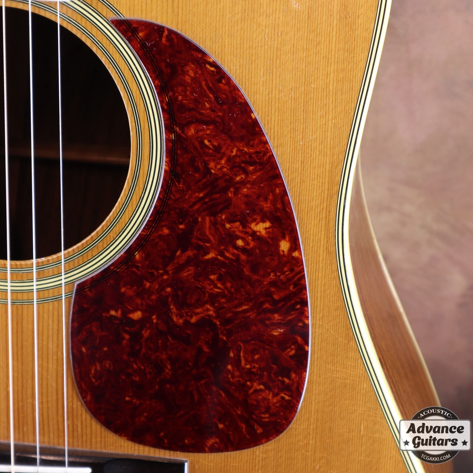 1988年製 D - 35 - TC楽器 - TCGAKKI