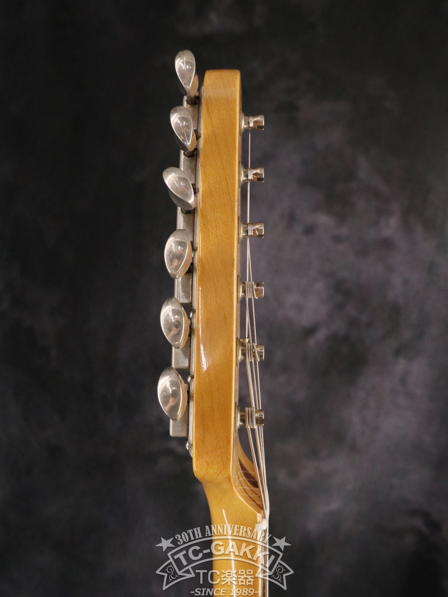 1993 - 94 TL69 - 75 Blue Flower - TC楽器 - TCGAKKI