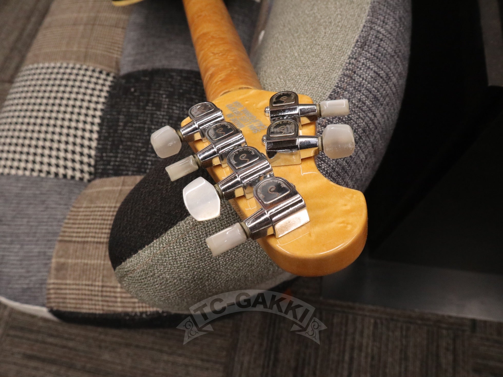 1993 EVH Signature - TC楽器 - TCGAKKI