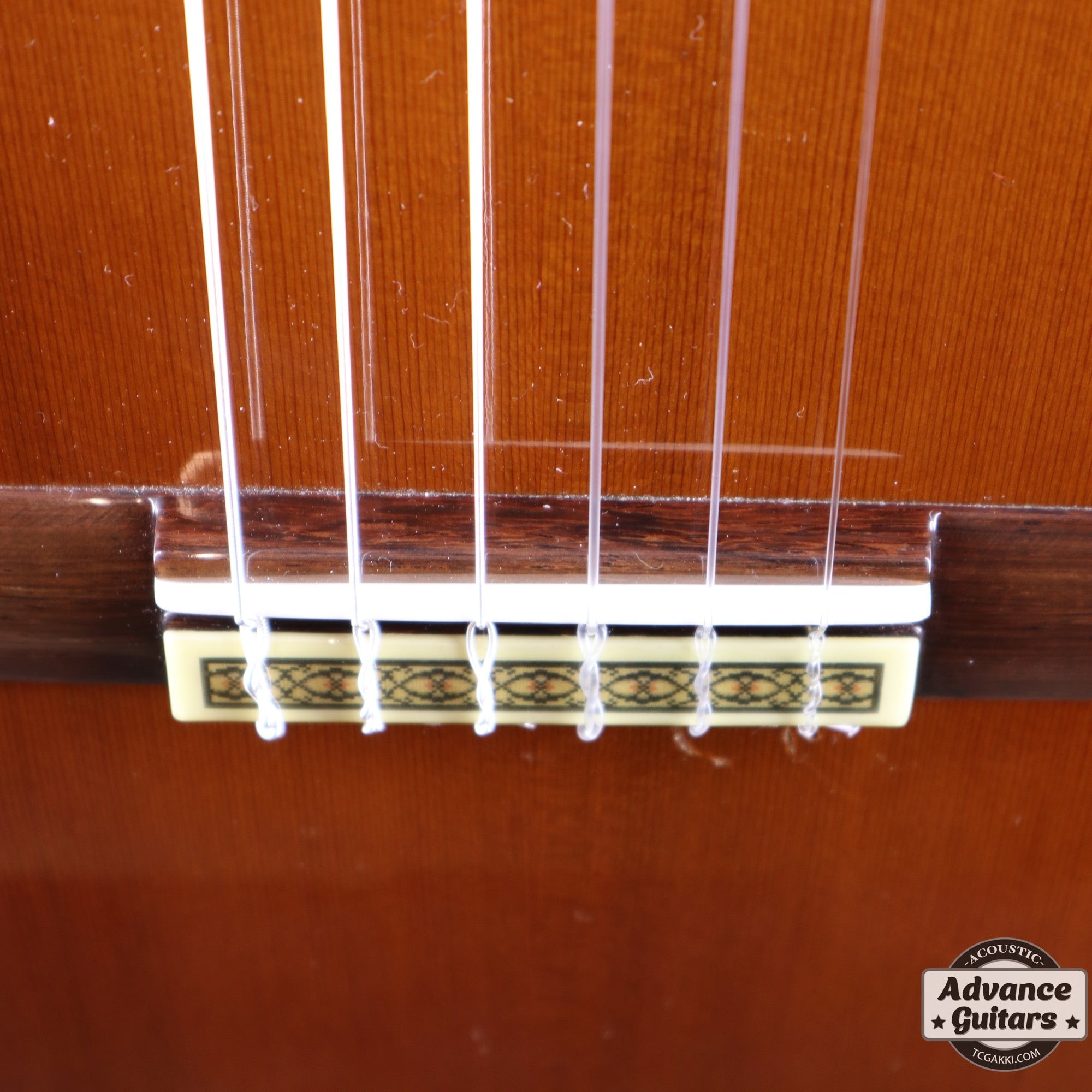 1995年製 GC - 40C - TC楽器 - TCGAKKI