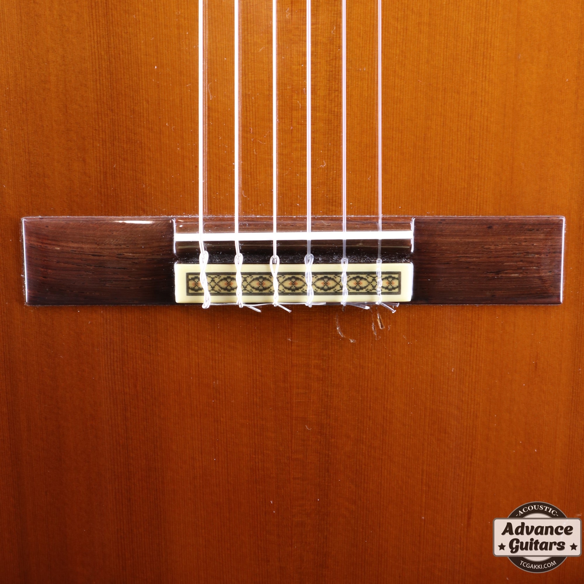 1995年製 GC - 40C - TC楽器 - TCGAKKI