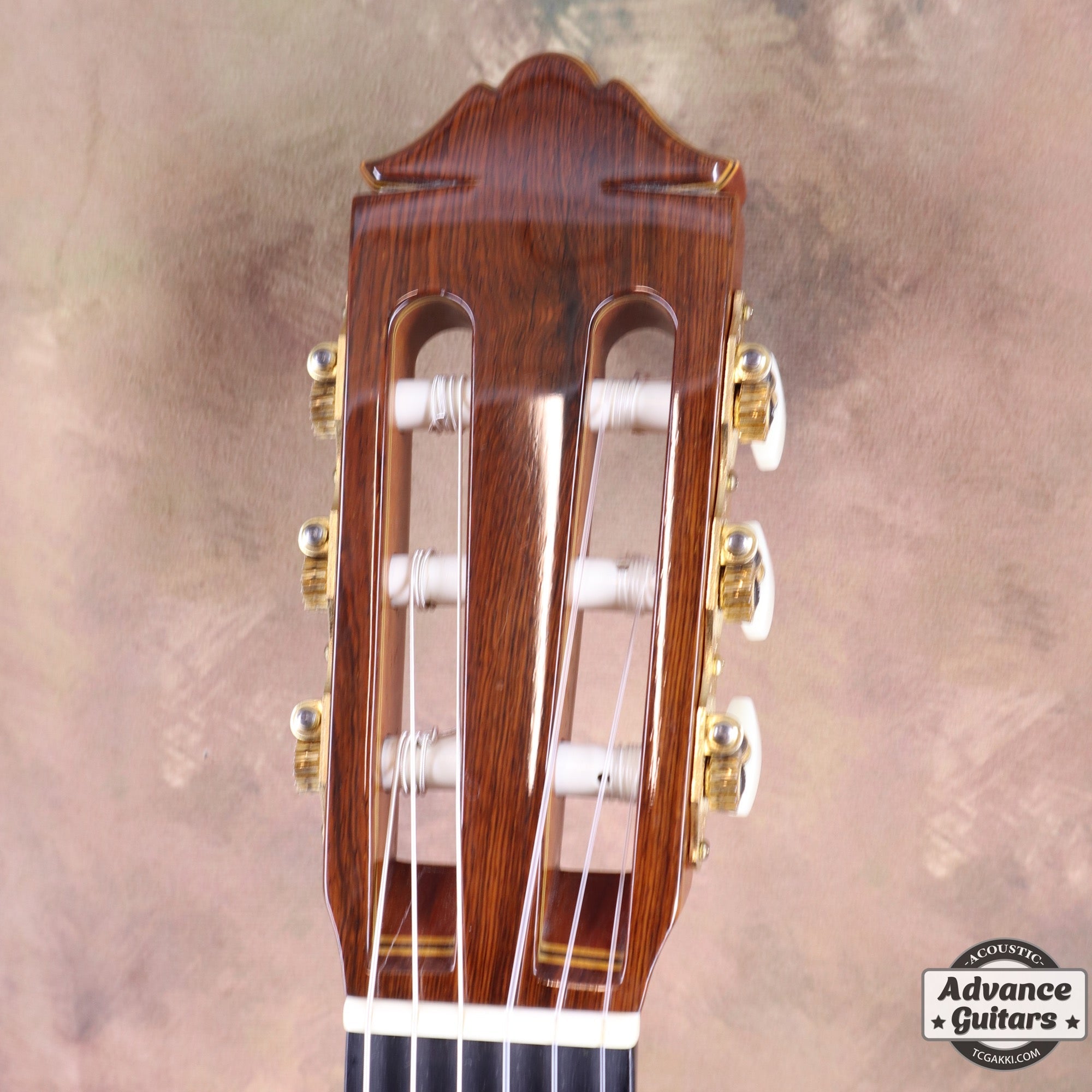 1995年製 GC - 40C - TC楽器 - TCGAKKI