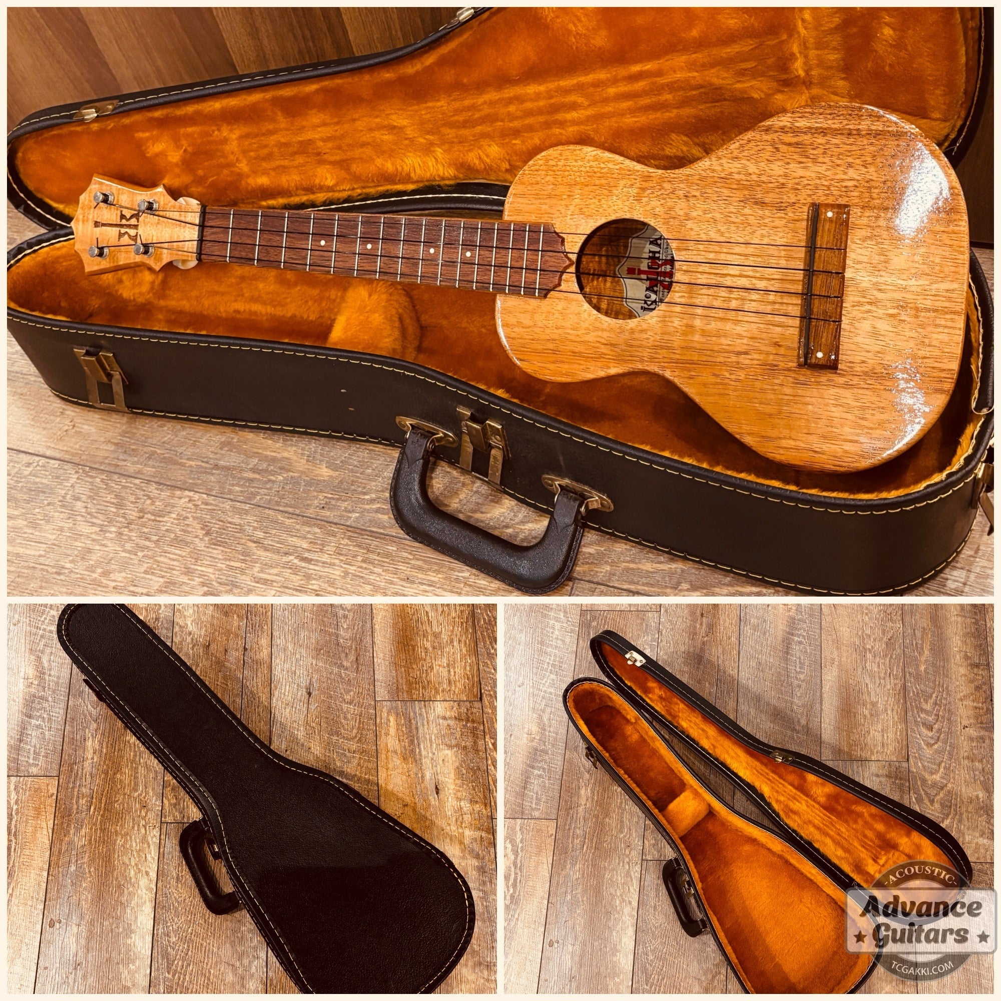 1998年製 Concert Ukulele - TC楽器 - TCGAKKI