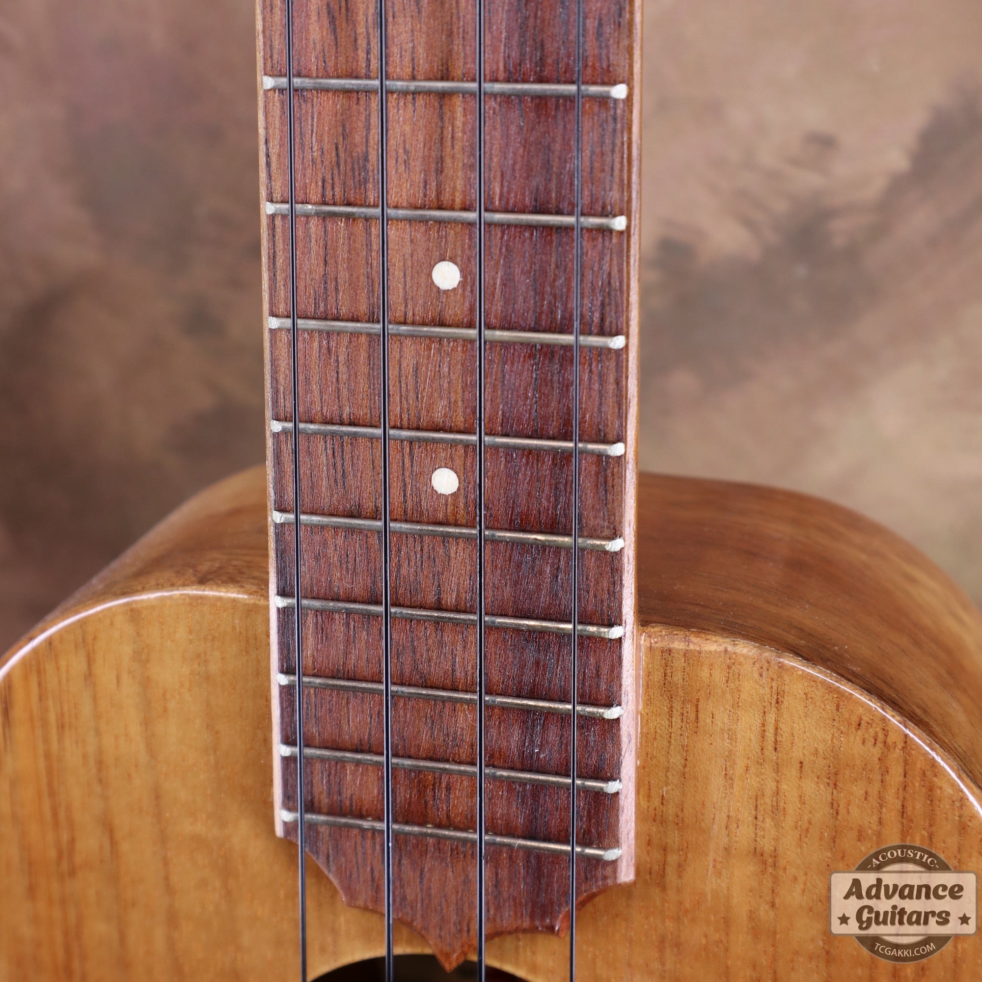 1998年製 Concert Ukulele - TC楽器 - TCGAKKI