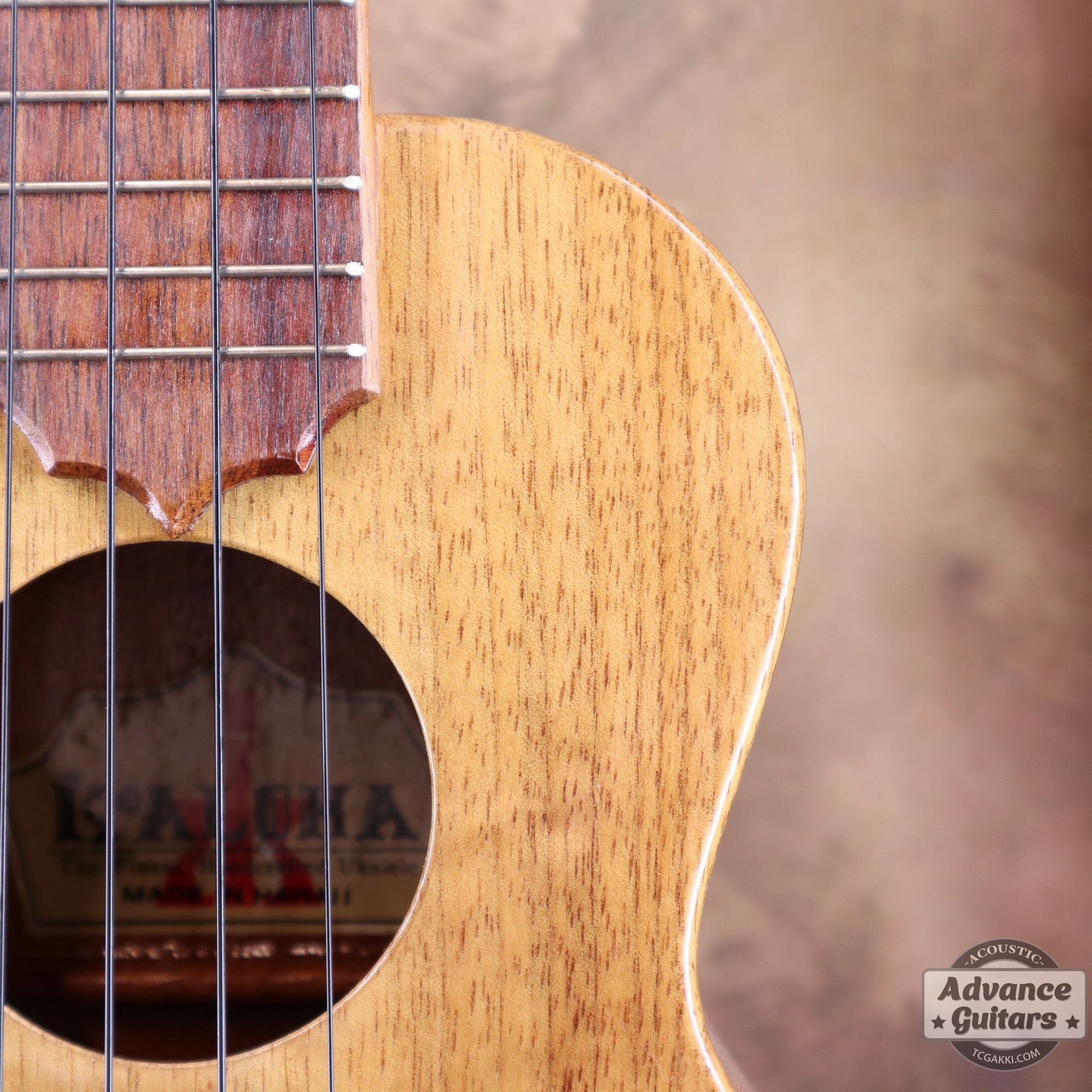 1998年製 Concert Ukulele - TC楽器 - TCGAKKI