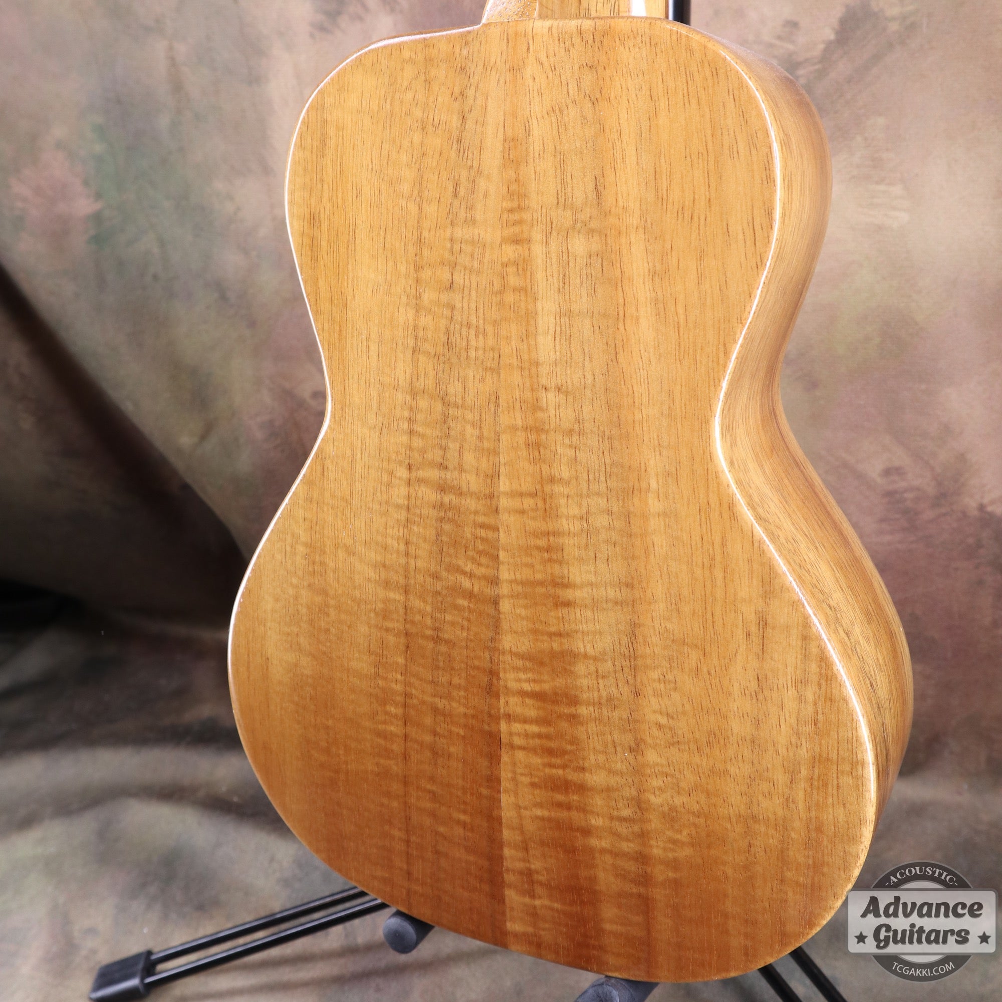 1998年製 Concert Ukulele - TC楽器 - TCGAKKI