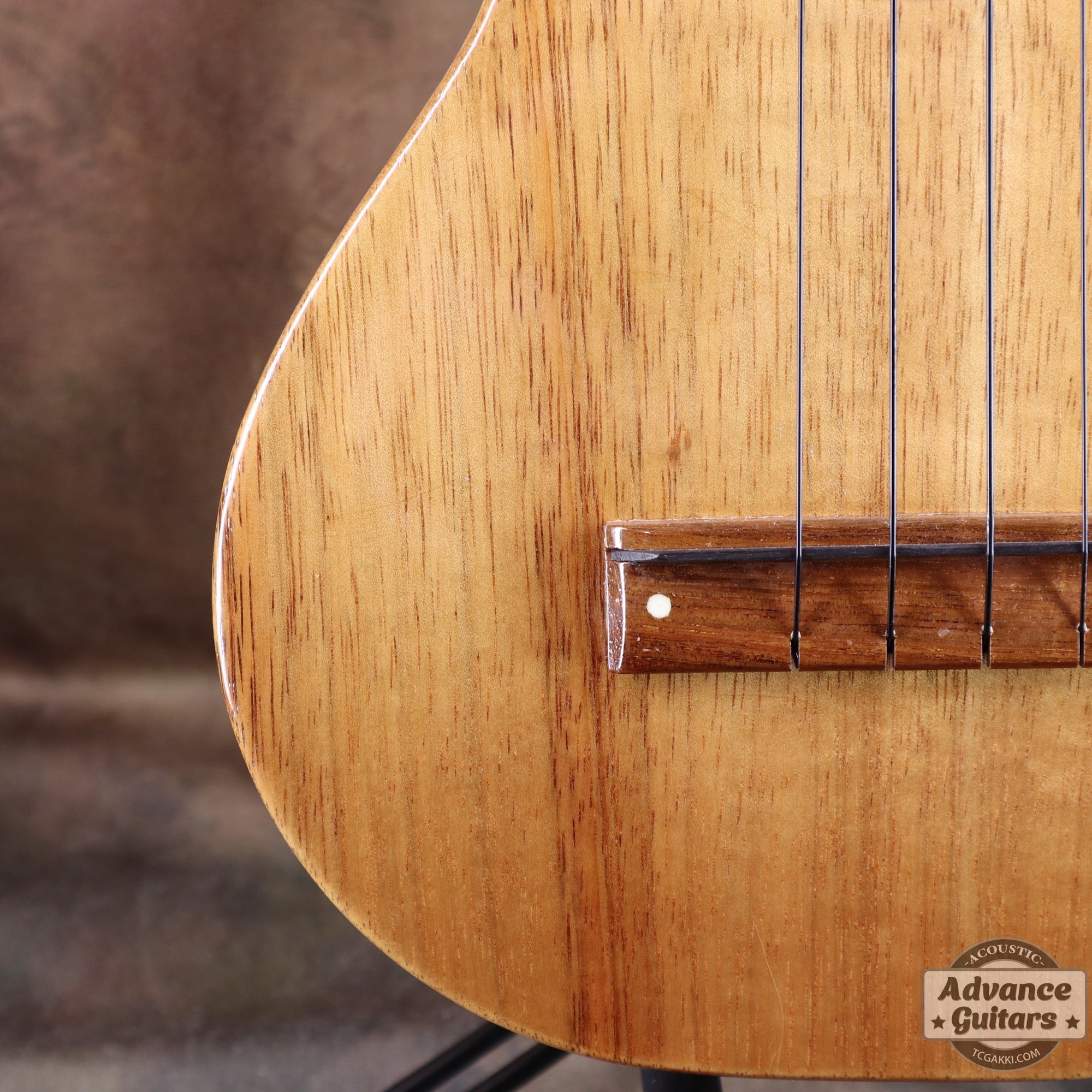 1998年製 Concert Ukulele - TC楽器 - TCGAKKI