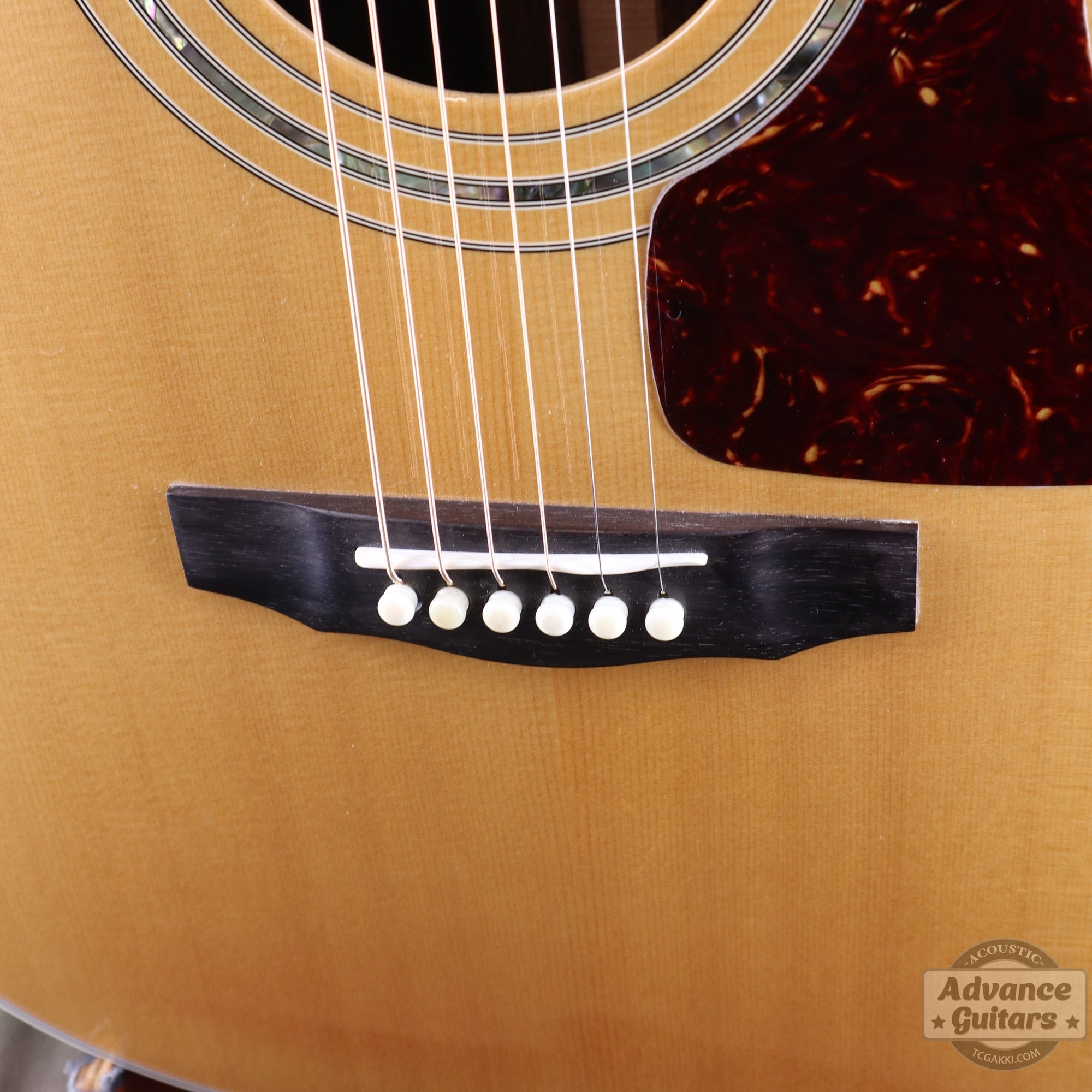 2000's D - 55 - TC楽器 - TCGAKKI