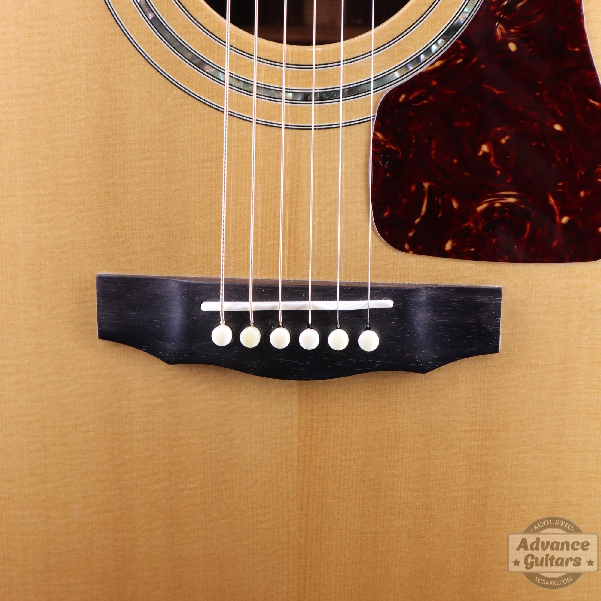 2000's D - 55 - TC楽器 - TCGAKKI
