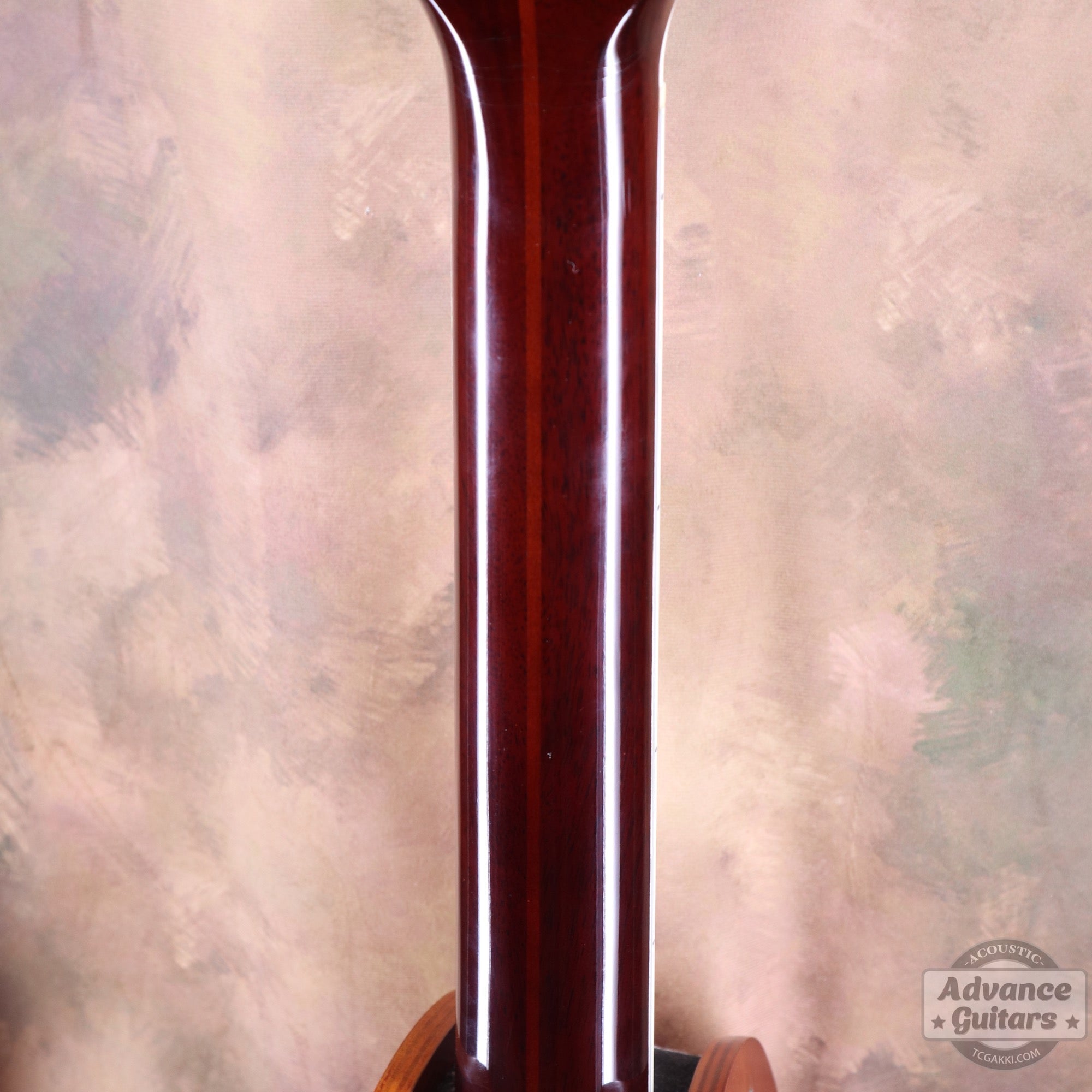 2000's D - 55 - TC楽器 - TCGAKKI