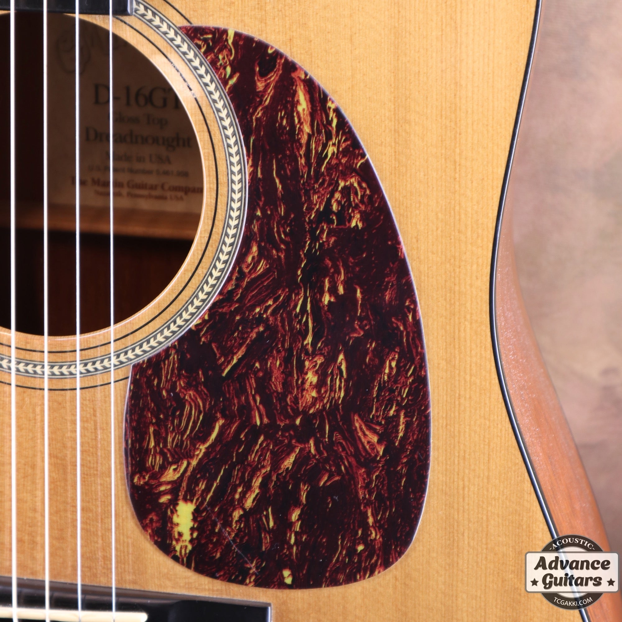 2002年製 D - 16GT - TC楽器 - TCGAKKI