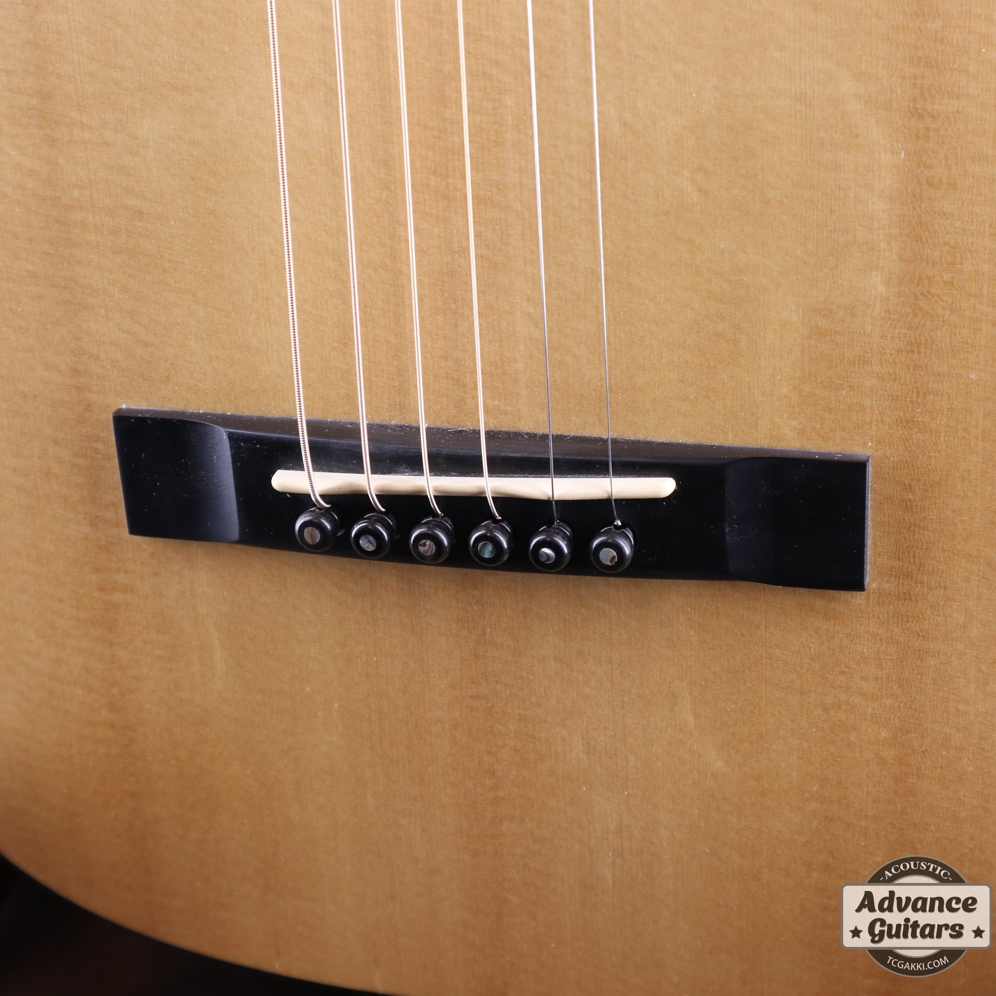 2003年製 5 - 16GT - TC楽器 - TCGAKKI