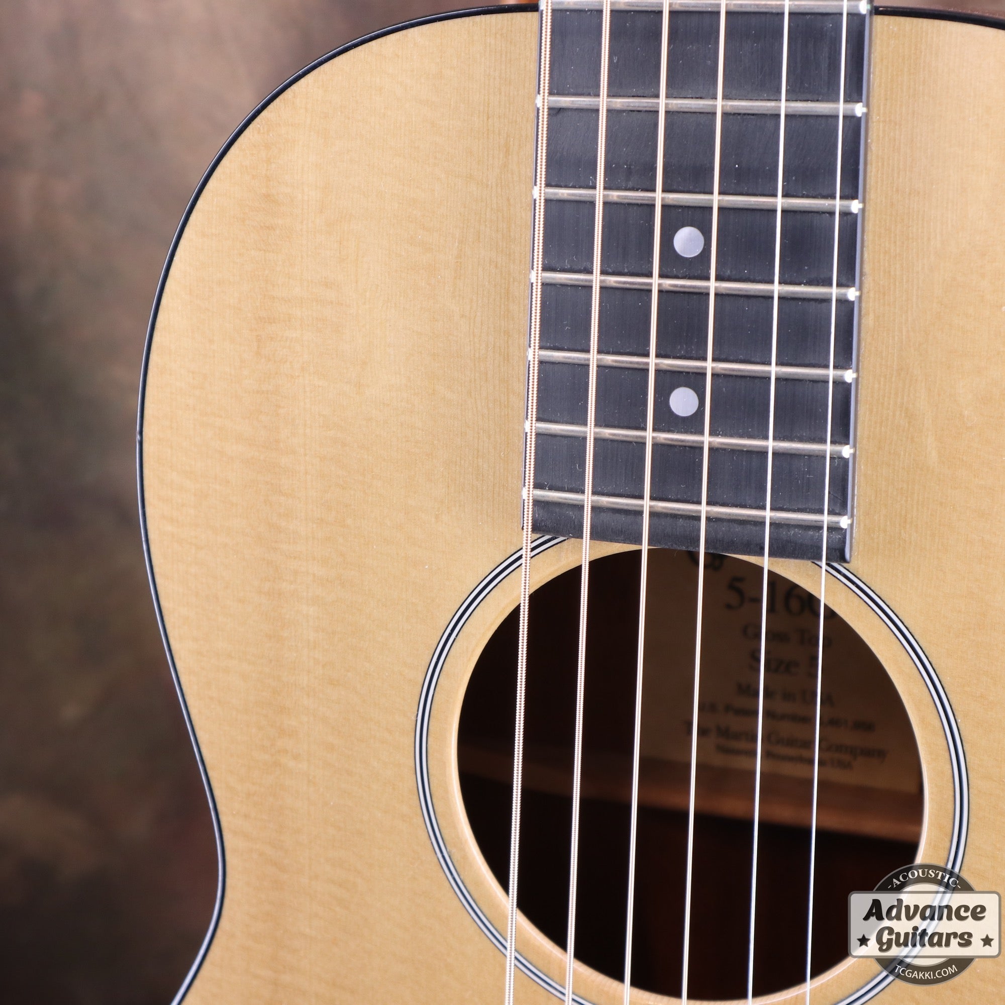 2003年製 5 - 16GT - TC楽器 - TCGAKKI