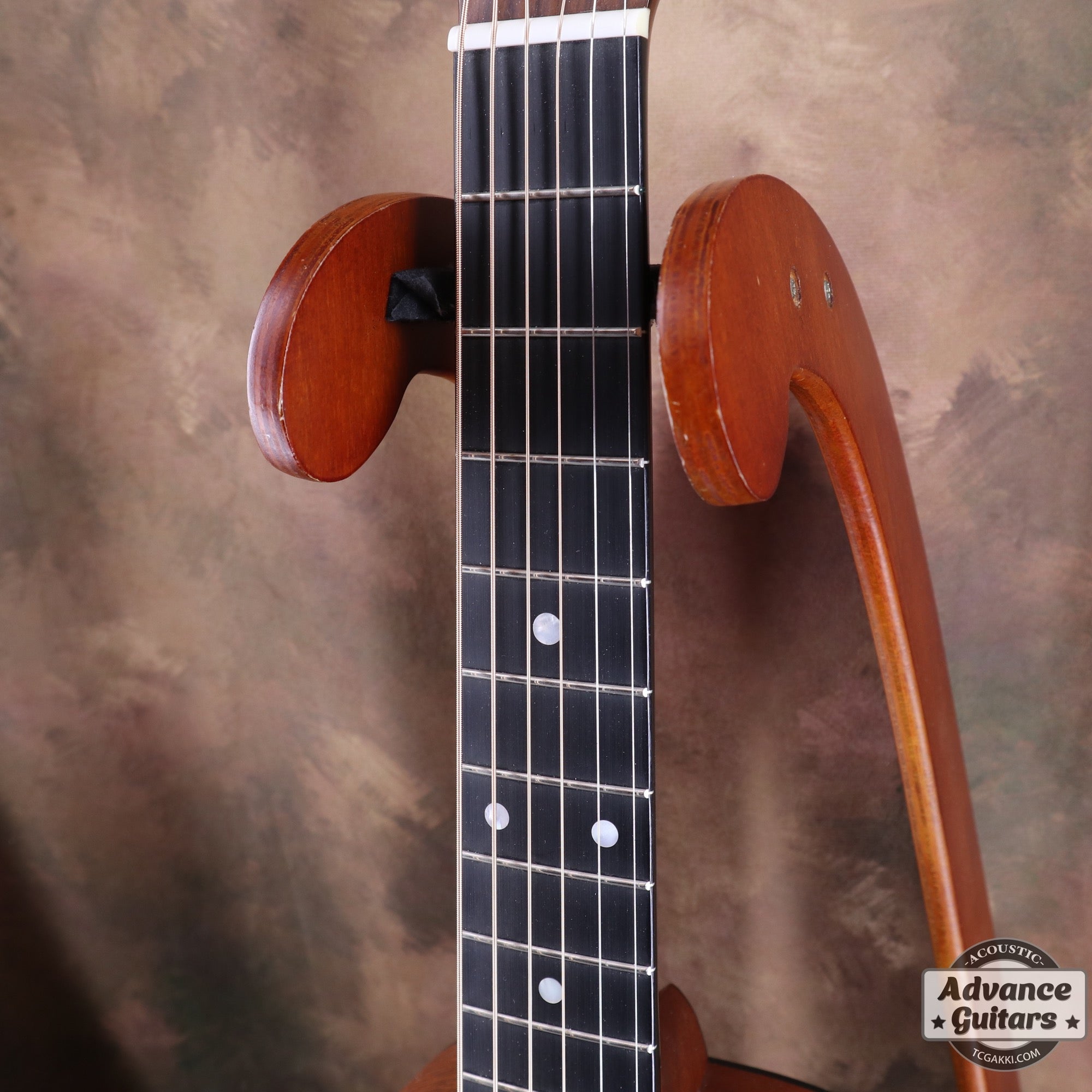 2003年製 5 - 16GT - TC楽器 - TCGAKKI