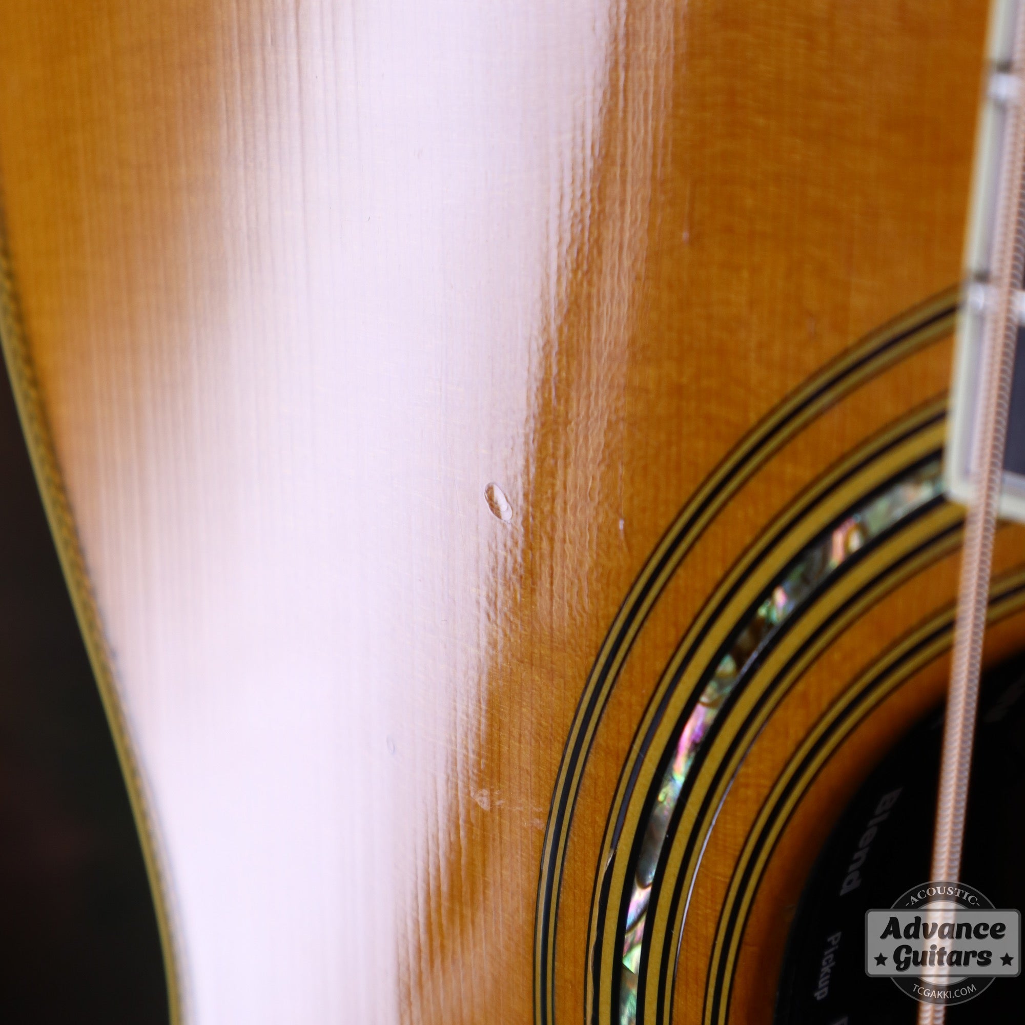 2005年製 000C Steve Miller - TC楽器 - TCGAKKI