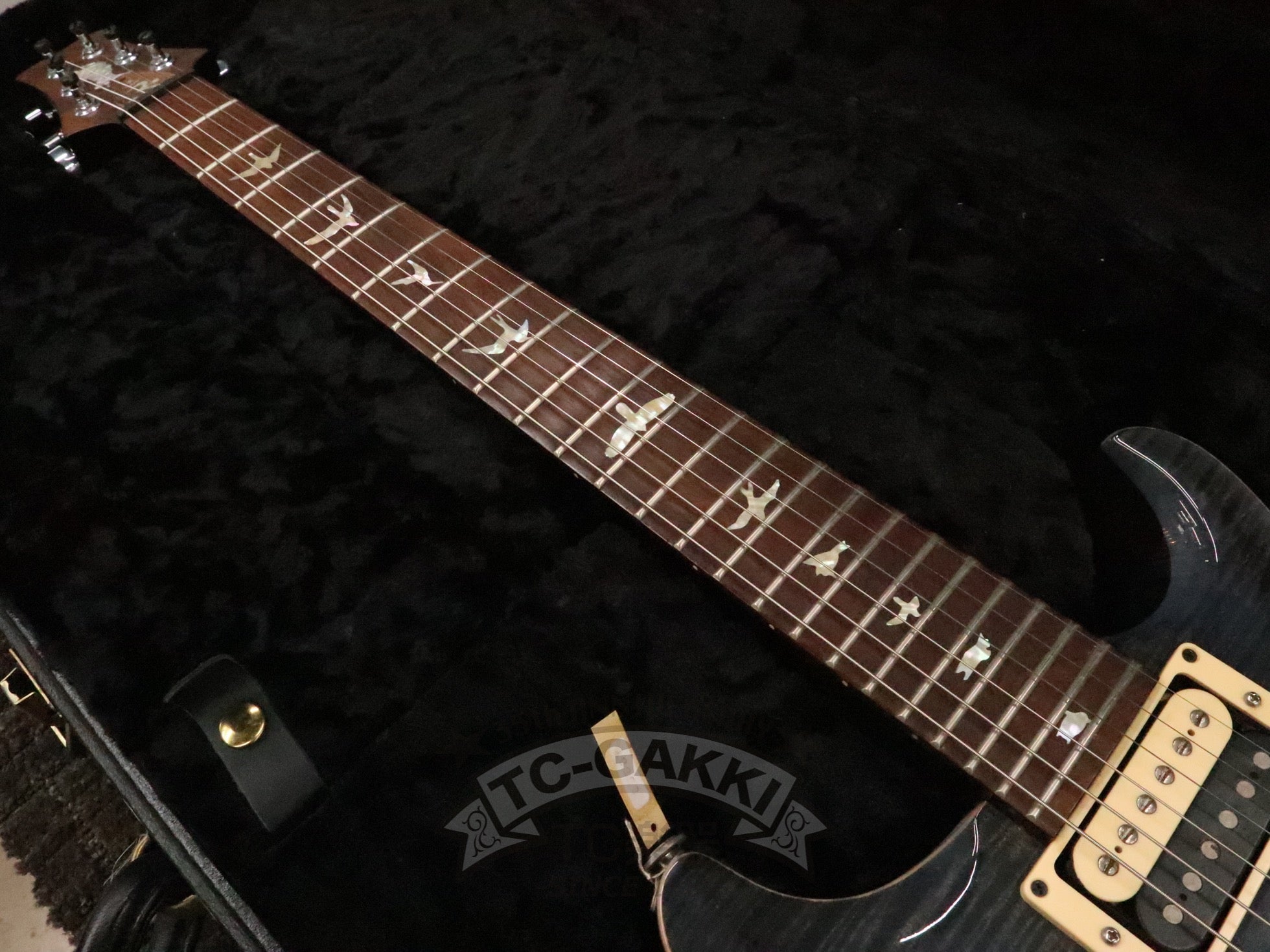 2005 SANTANA II Brazilian Rosewood Fingerboard - TC楽器 - TCGAKKI