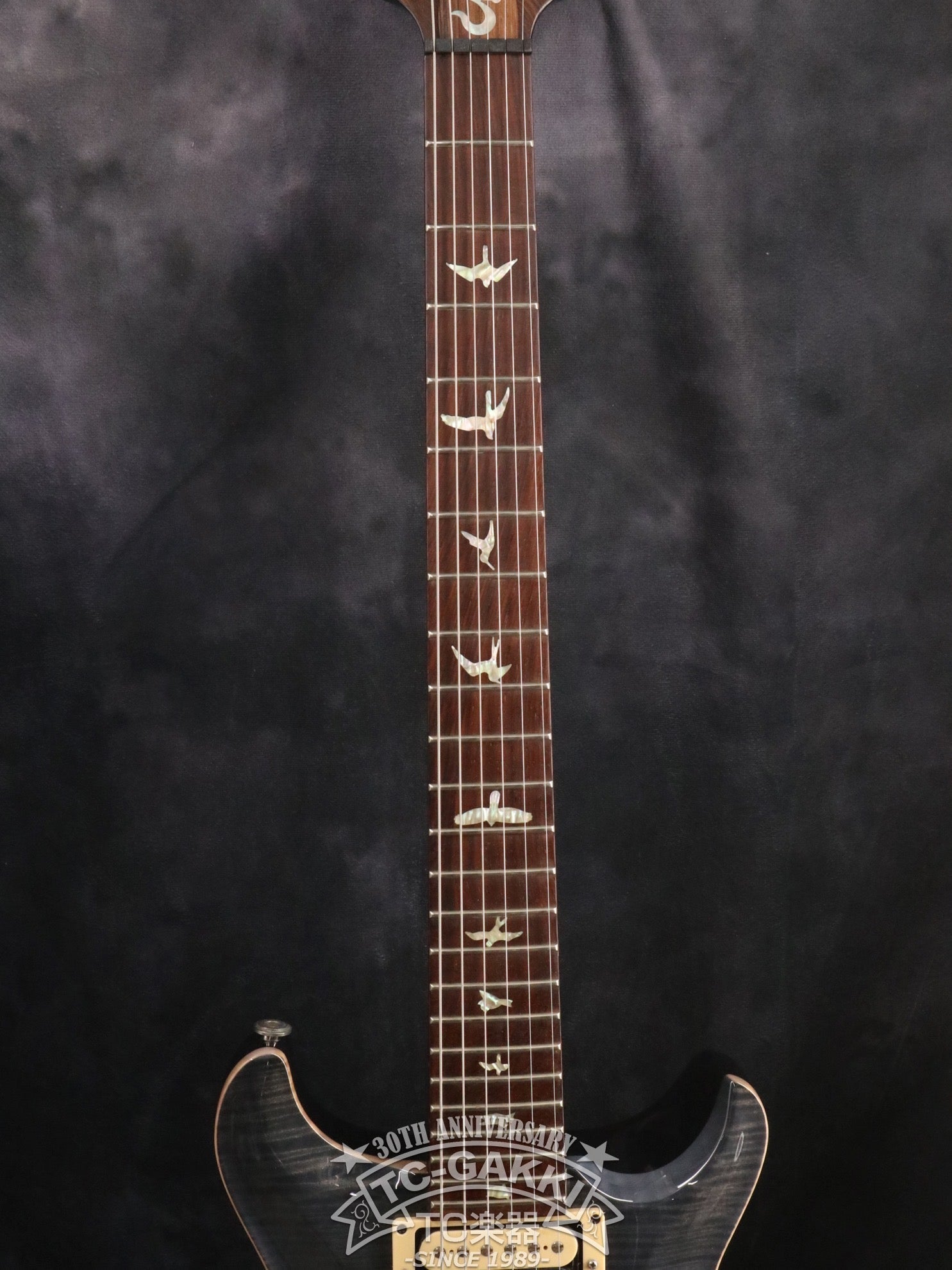 2005 SANTANA II Brazilian Rosewood Fingerboard - TC楽器 - TCGAKKI