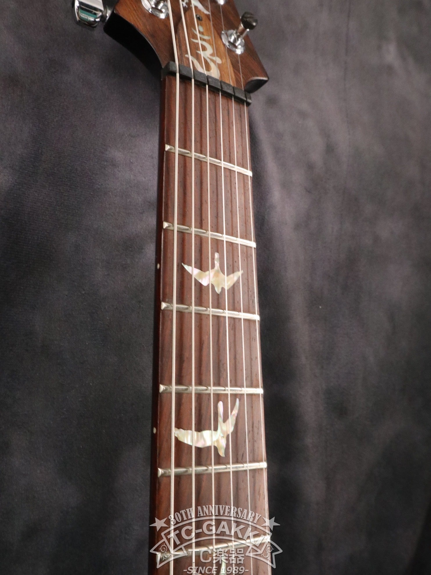 2005 SANTANA II Brazilian Rosewood Fingerboard - TC楽器 - TCGAKKI