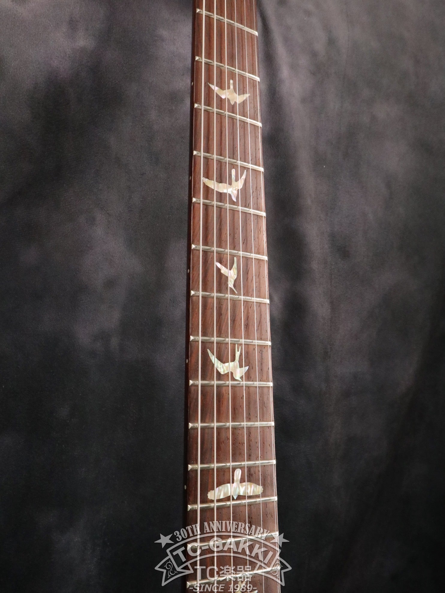 2005 SANTANA II Brazilian Rosewood Fingerboard - TC楽器 - TCGAKKI