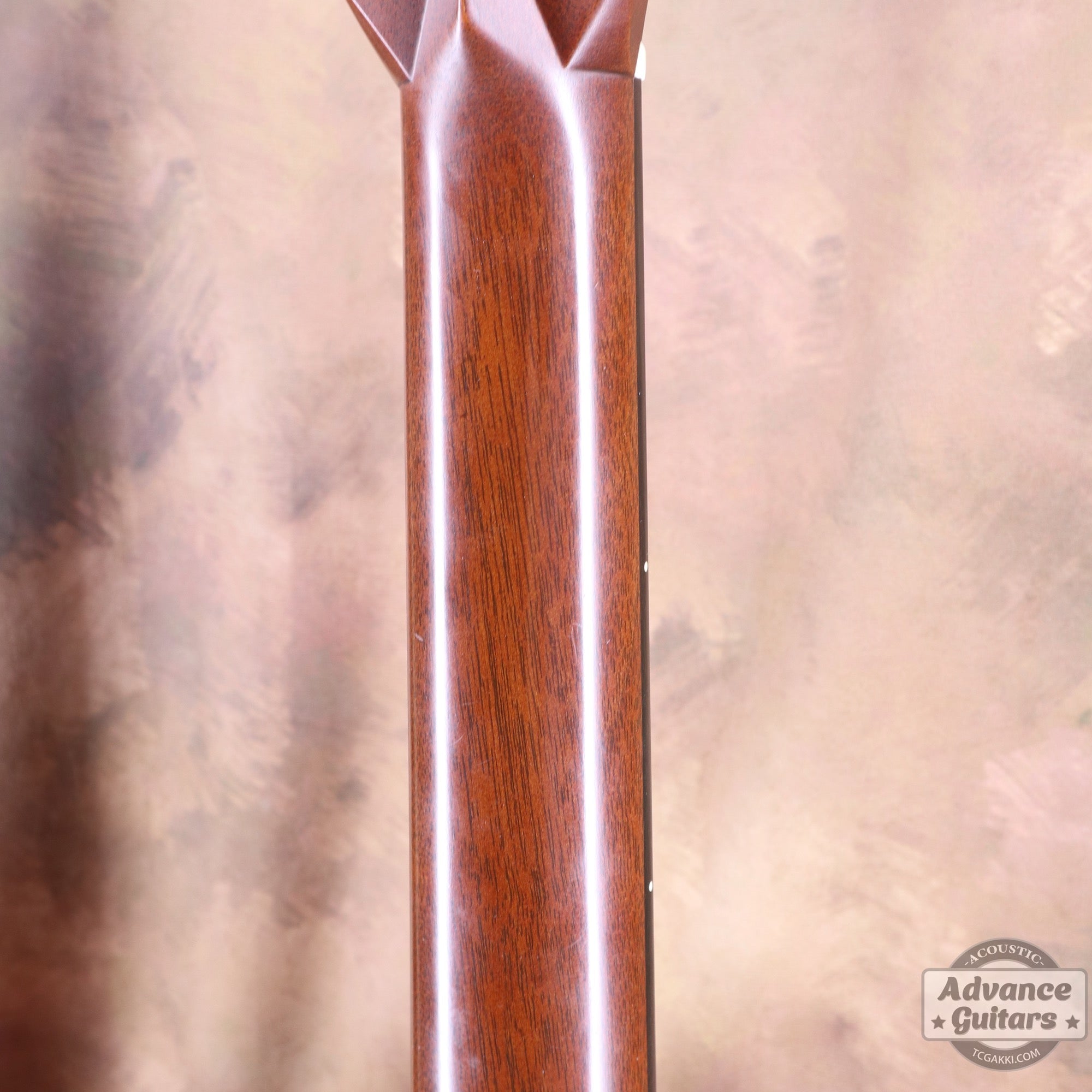 2006年製 CTM 000 - 28 ECTC - TC楽器 - TCGAKKI