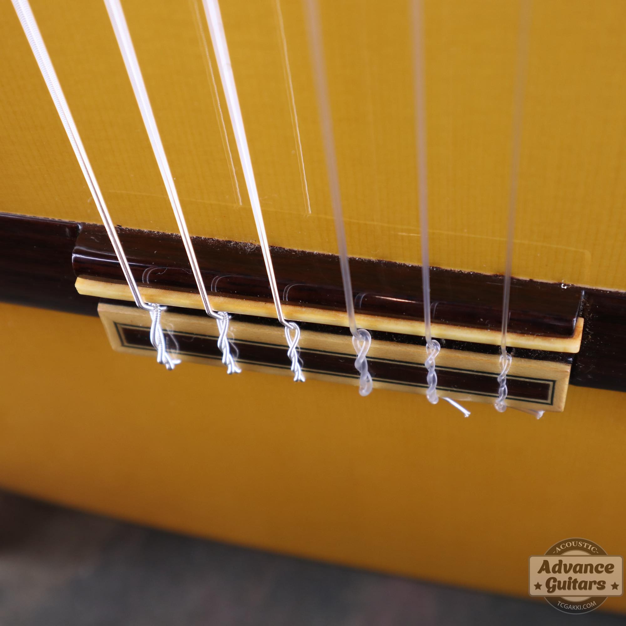 2006年製 profesor - 4 - TC楽器 - TCGAKKI