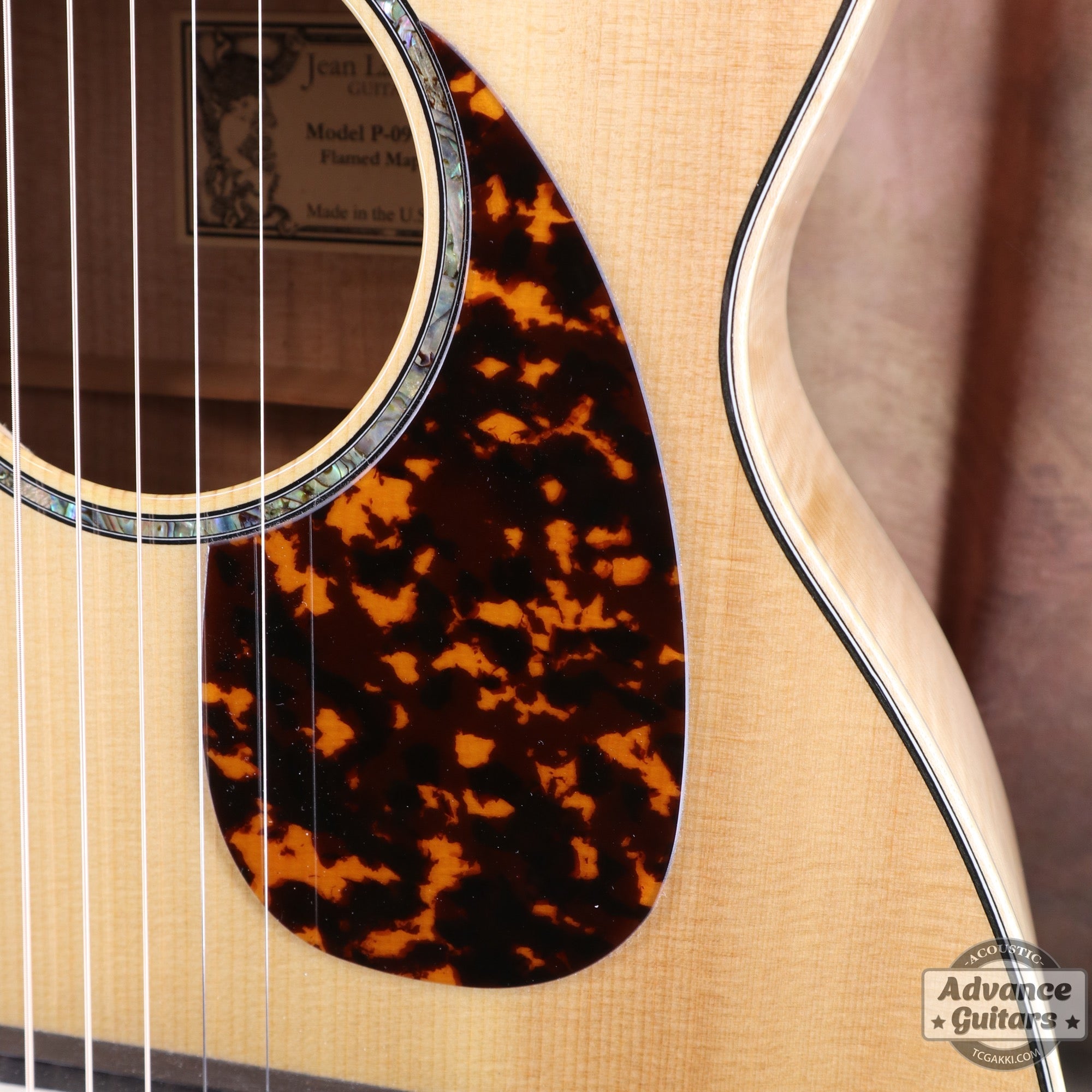 2007年製 P - 09 Flamed Maple - TC楽器 - TCGAKKI