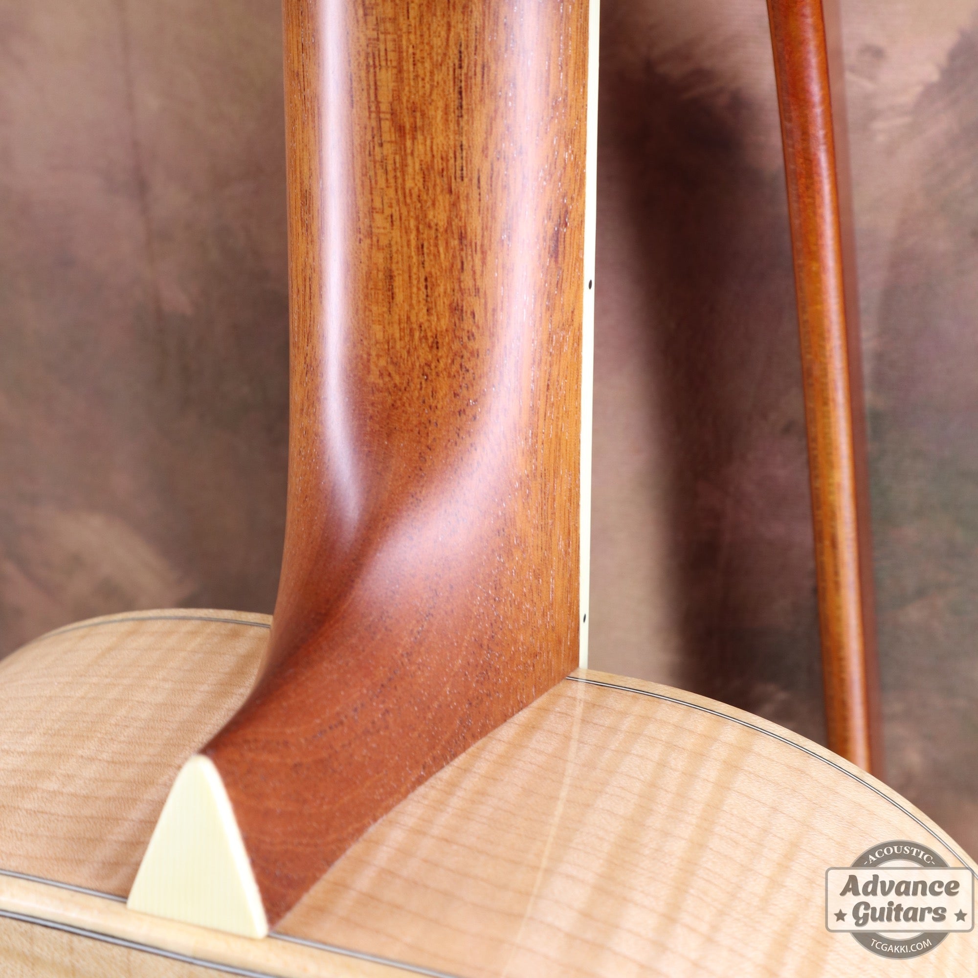 2007年製 P - 09 Flamed Maple - TC楽器 - TCGAKKI