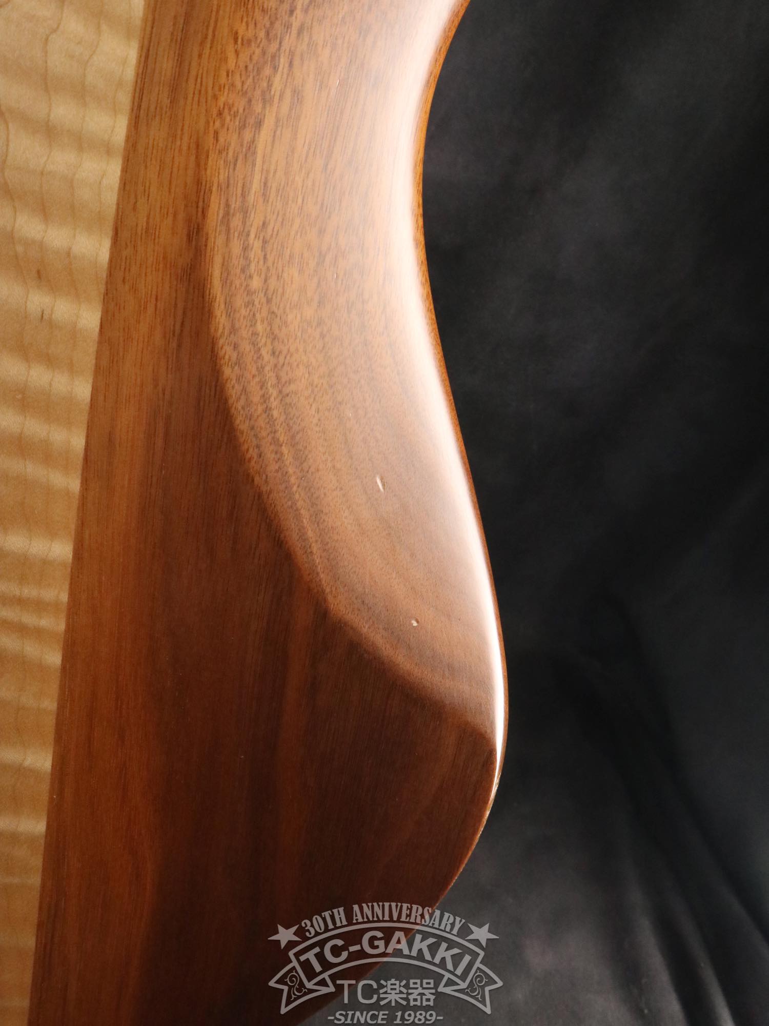 2008 Emperor II Elite 5 - TC楽器 - TCGAKKI