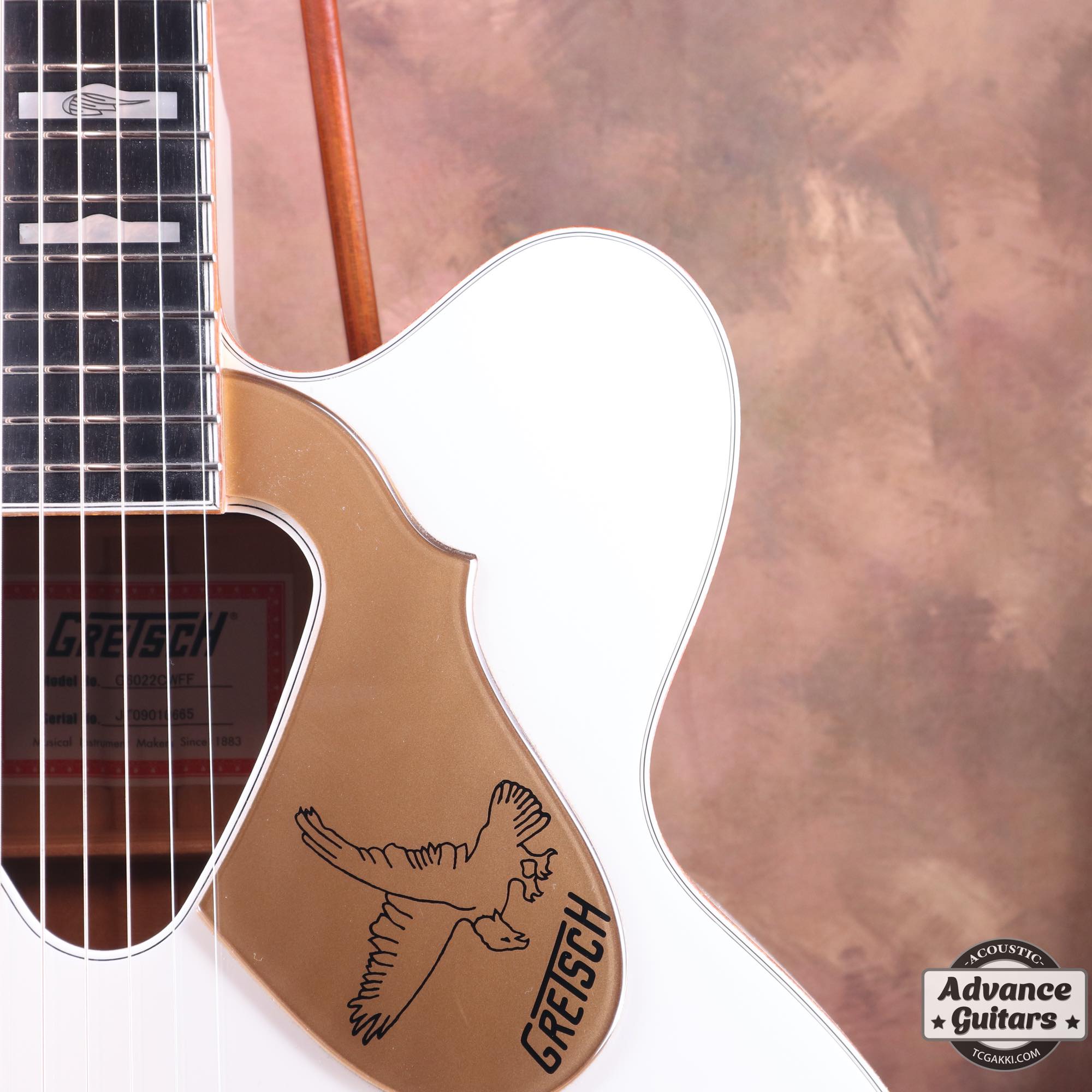 2009年製 G6022CWFF Rancher Falcon Cutaway - TC楽器 - TCGAKKI