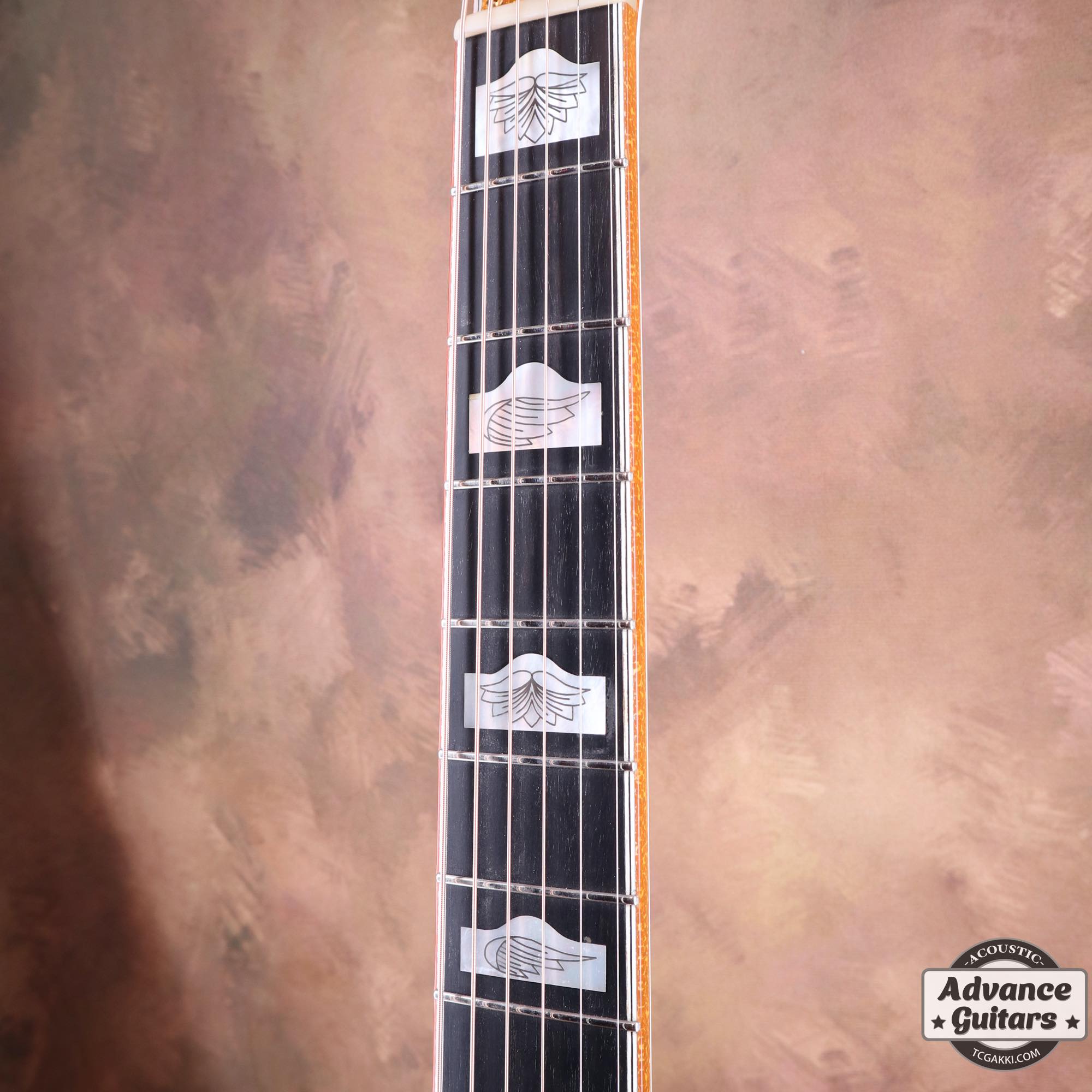 2009年製 G6022CWFF Rancher Falcon Cutaway - TC楽器 - TCGAKKI