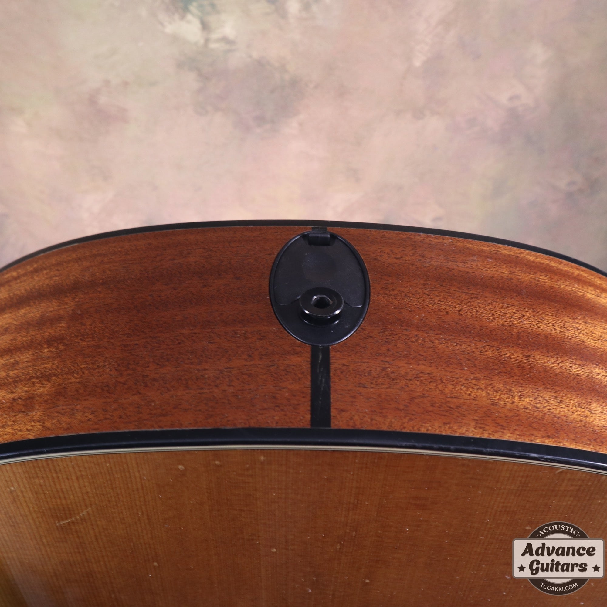 2010 314ce - TC楽器 - TCGAKKI