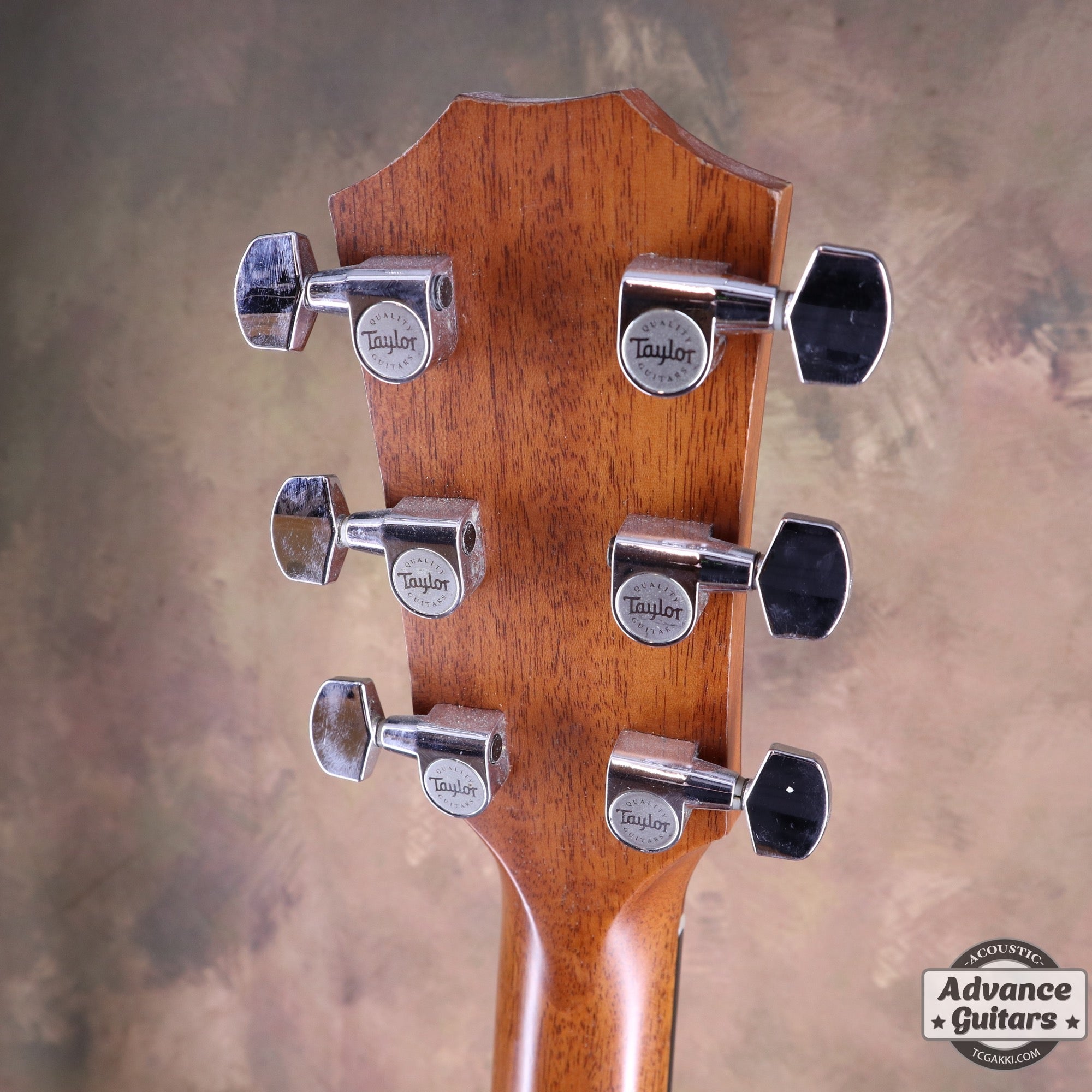 2010 314ce - TC楽器 - TCGAKKI