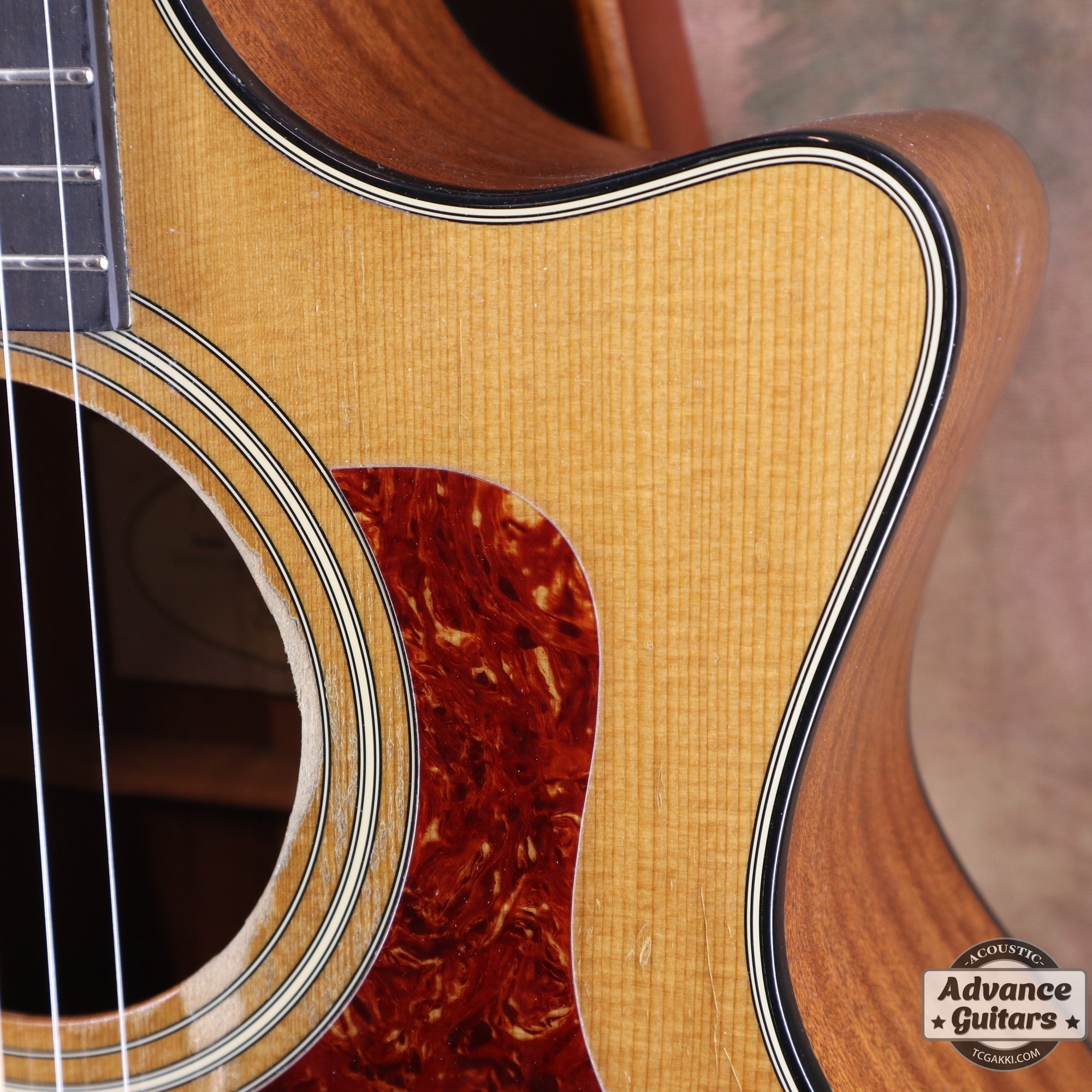 2010 314ce - TC楽器 - TCGAKKI